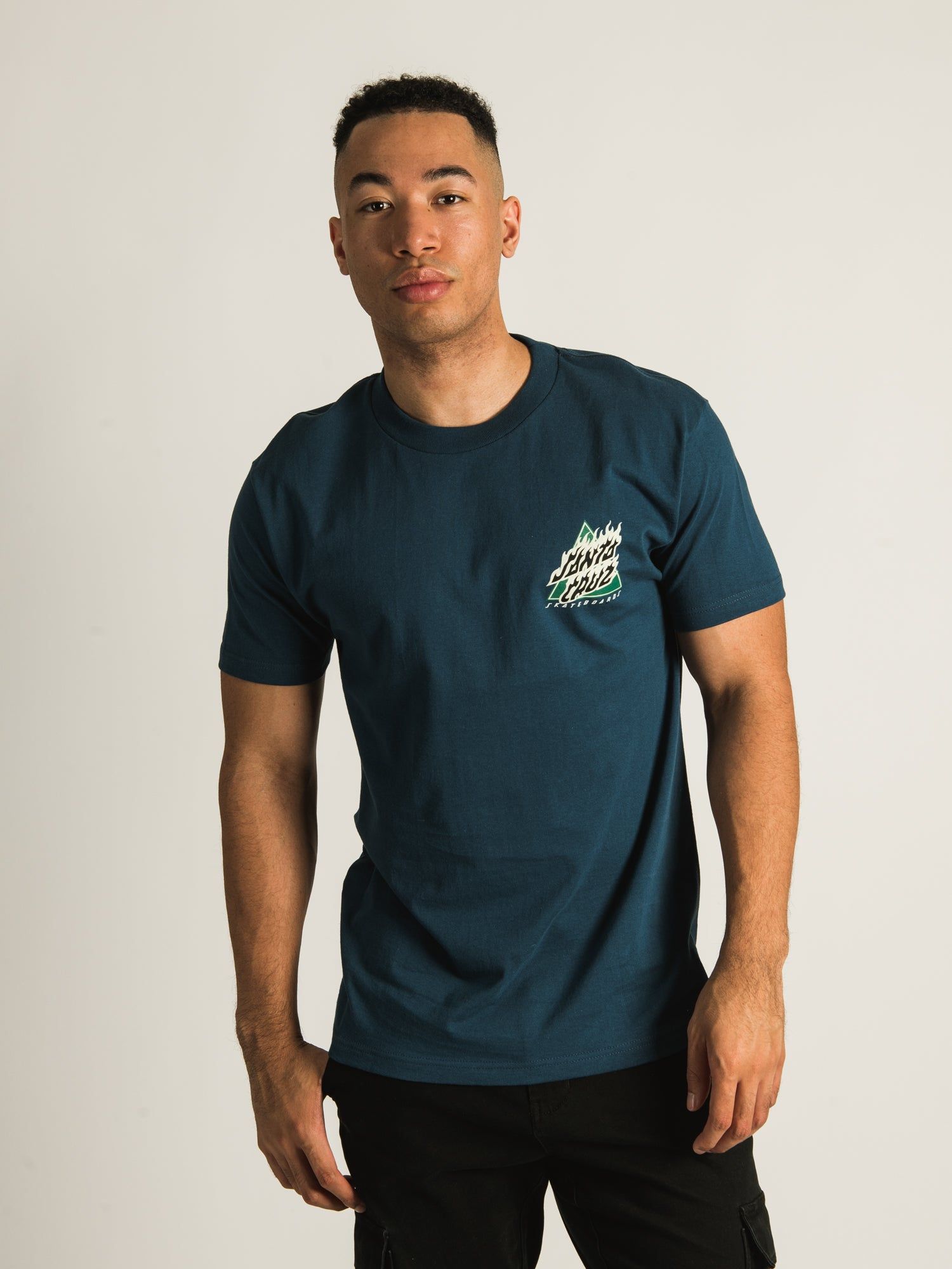 SANTA CRUZ FLAMED NOT A DOT T-SHIRT sold by Boathouse product image thumbnail 2