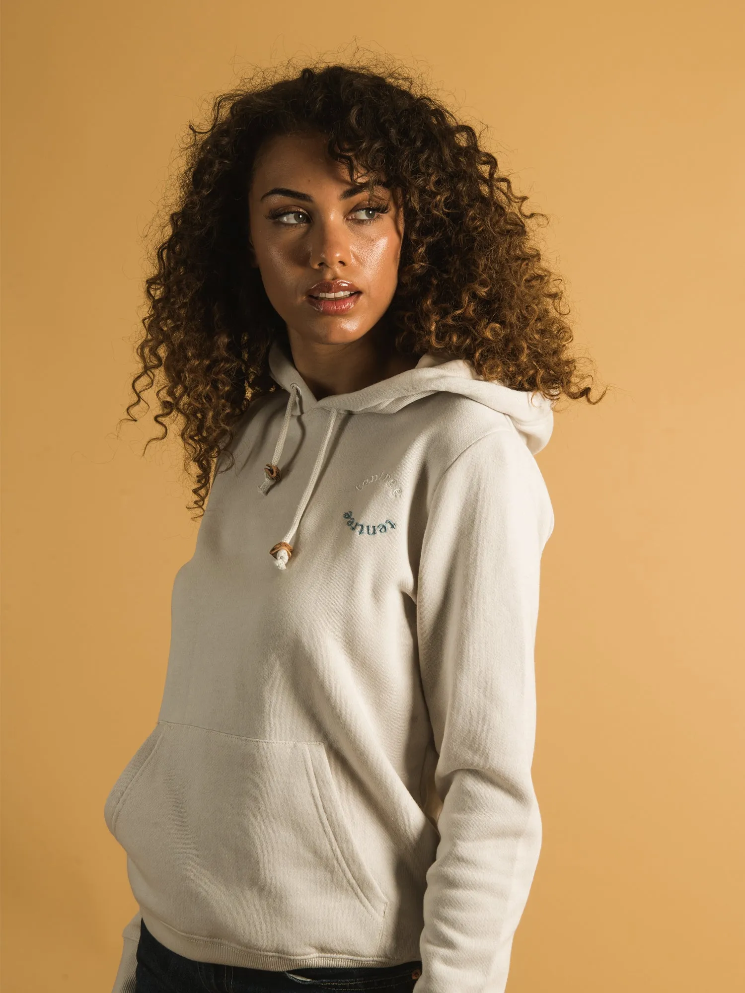 TENTREE ARC EMBROIDERED LOGO HOODIE - CLEARANCE sold by Boathouse product image thumbnail 2