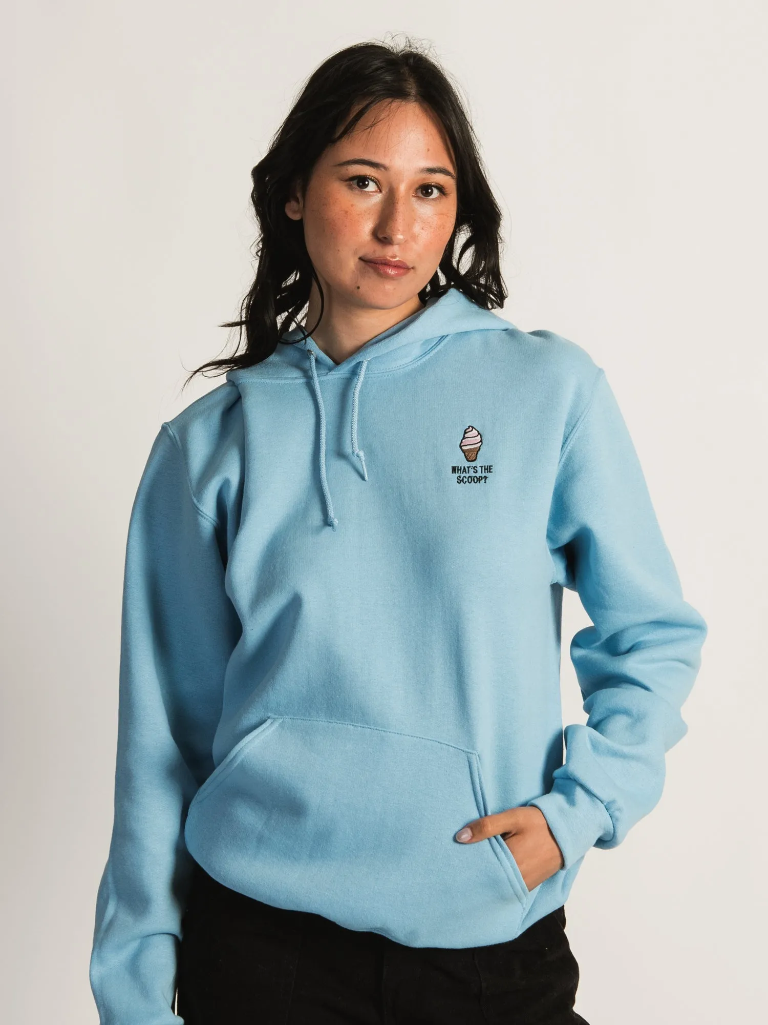 HOTLINE APPAREL ICE CREAM EMBROIDERED HOODIE sold by Boathouse product image thumbnail 2