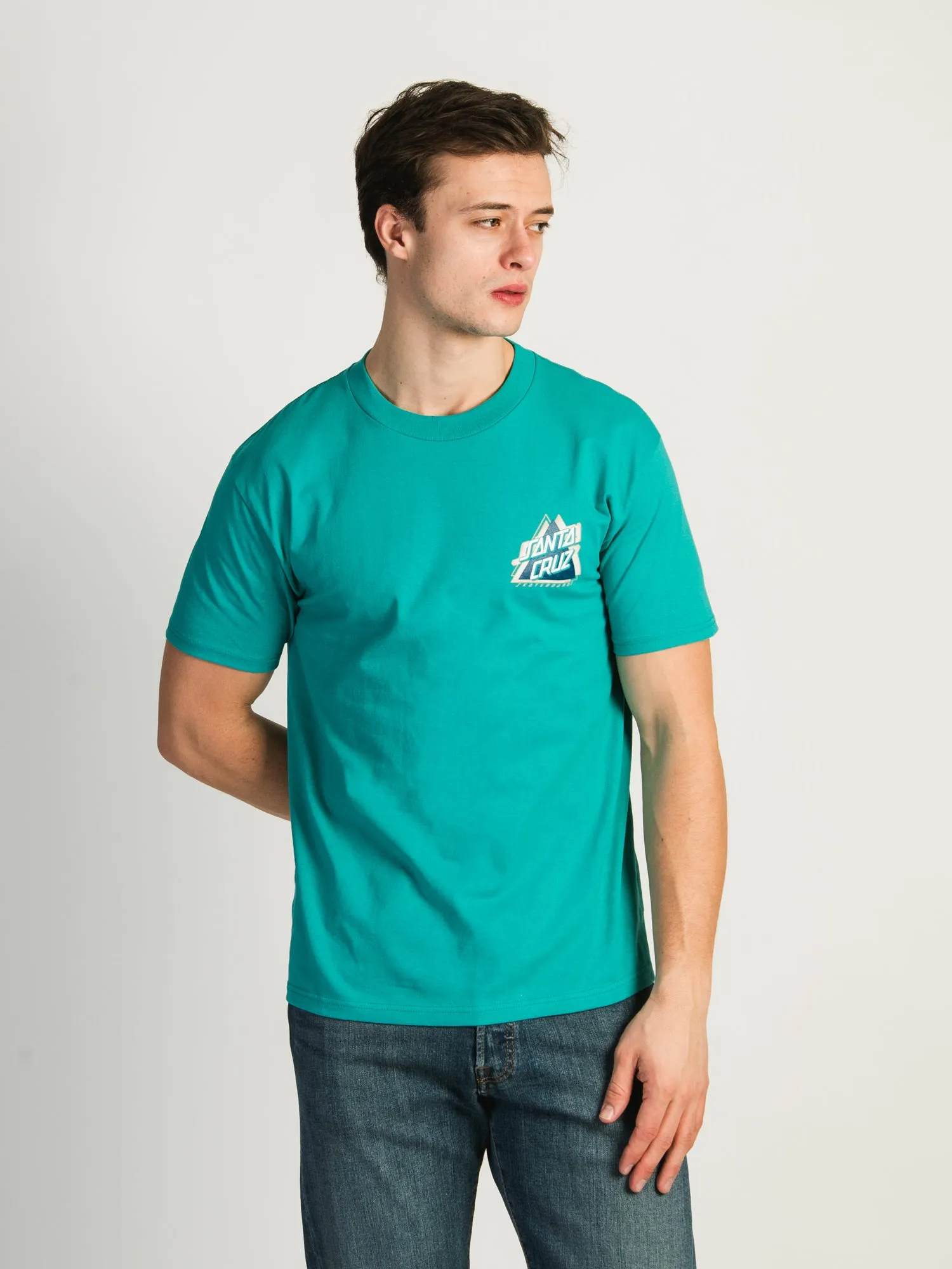 SANTA CRUZ SPLIT NOT A DOT T-SHIRT sold by Boathouse product image thumbnail 2