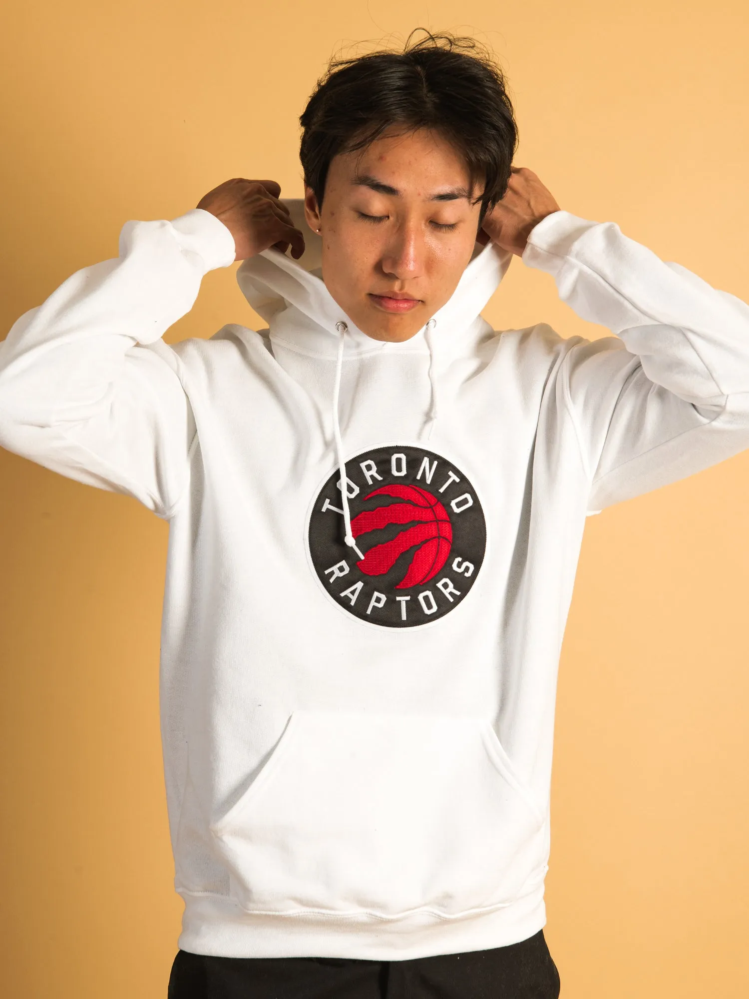 NBA TORONTO RAPTORS EMBROIDERED HOODIE - CLEARANCE sold by Boathouse product image thumbnail 4