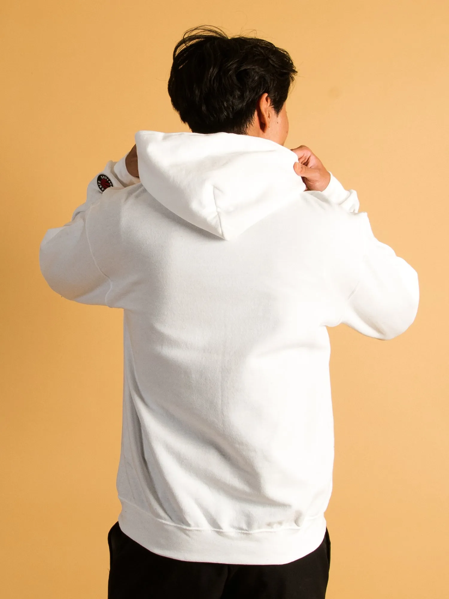 NBA TORONTO RAPTORS EMBROIDERED HOODIE - CLEARANCE sold by Boathouse product image thumbnail 5