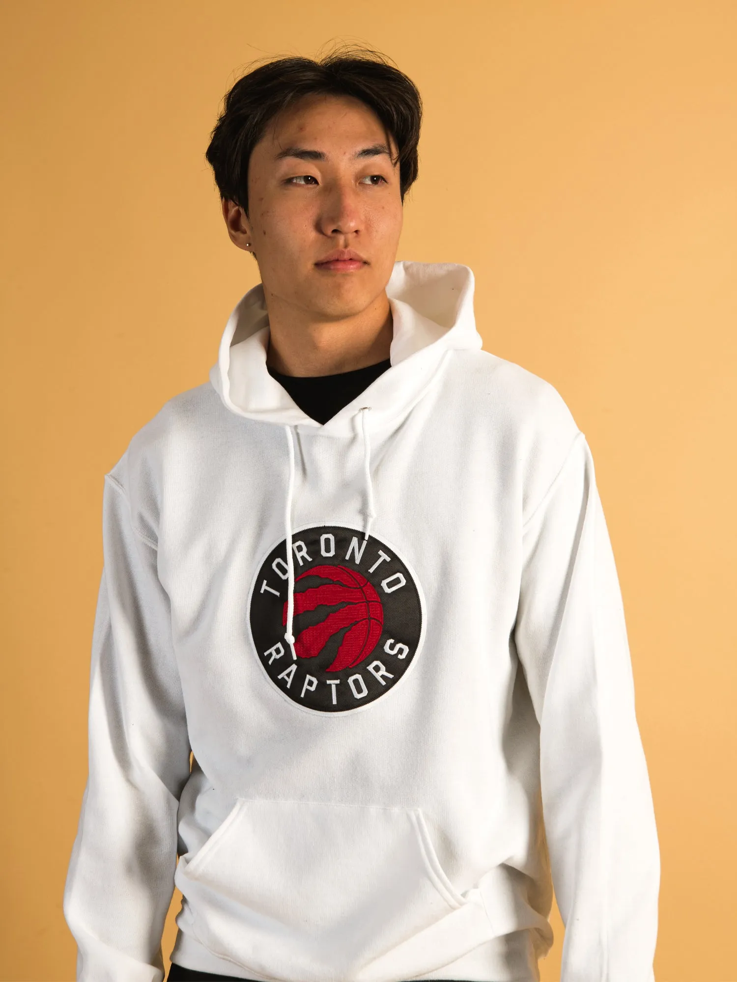 NBA TORONTO RAPTORS EMBROIDERED HOODIE - CLEARANCE sold by Boathouse
