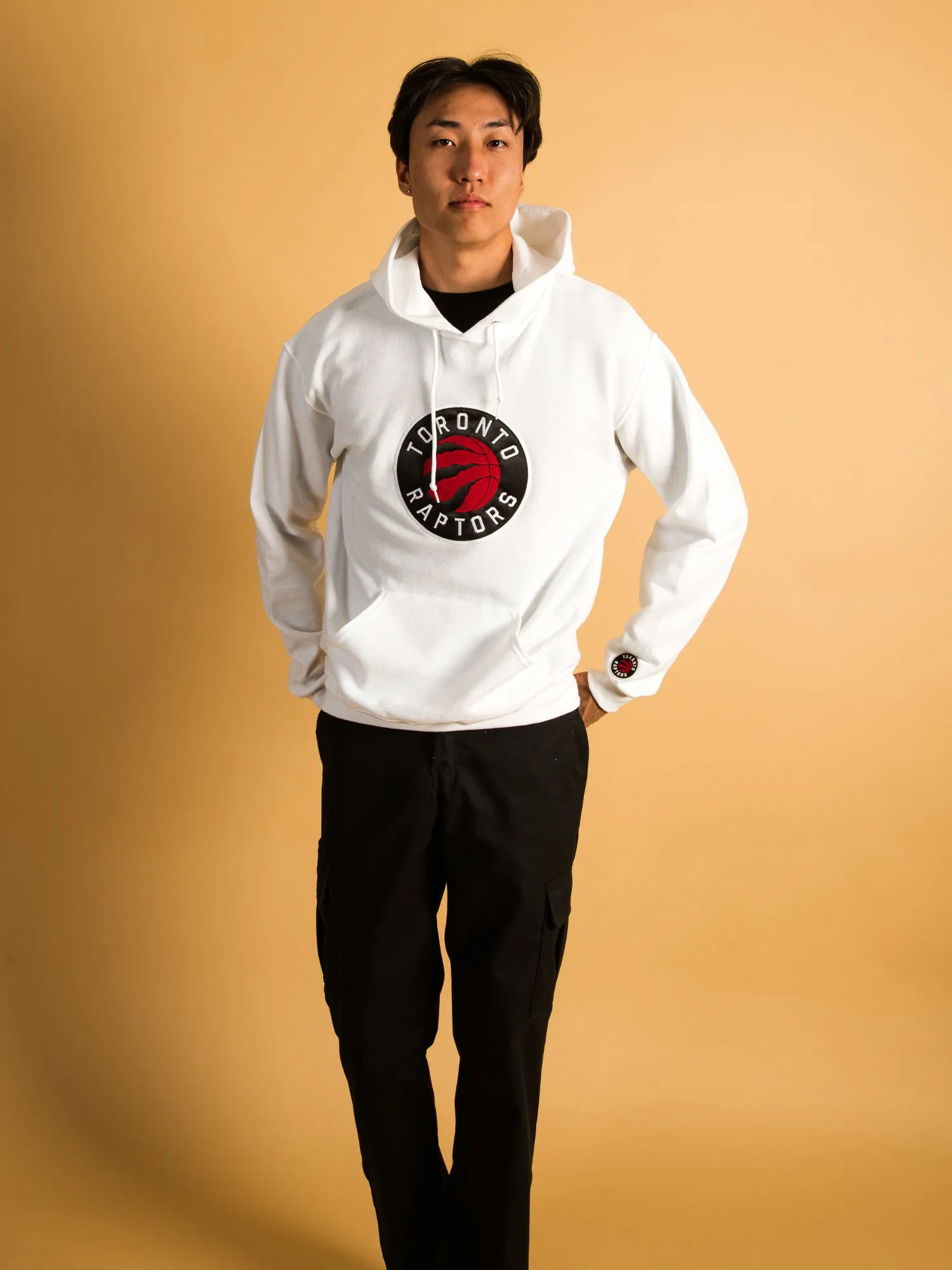 NBA TORONTO RAPTORS EMBROIDERED HOODIE - CLEARANCE sold by Boathouse product image thumbnail 3