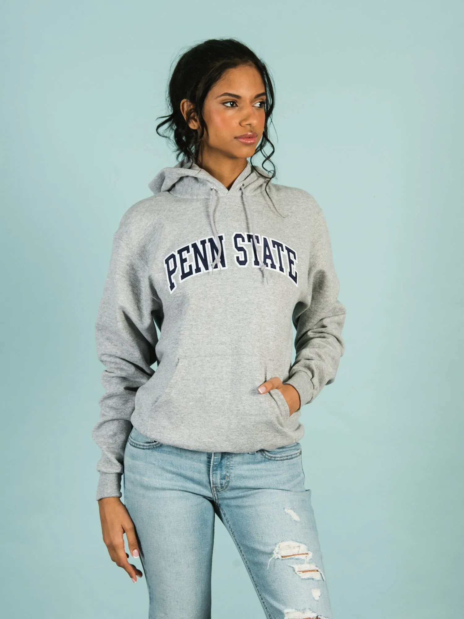 CHAMPION PENN STATE PULLOVER HOODIE sold by Boathouse product image thumbnail 2
