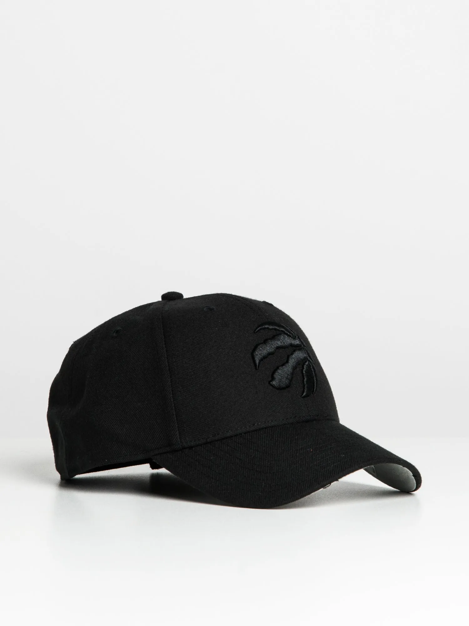 47 RAPTORS MVP TONAL CAP sold by Boathouse