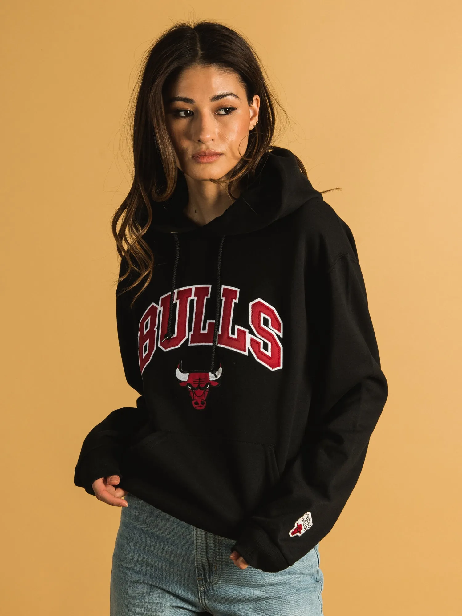 NBA CHICAGO BULLS EMBROIDERED HOODIE - CLEARANCE sold by Boathouse product image thumbnail 2