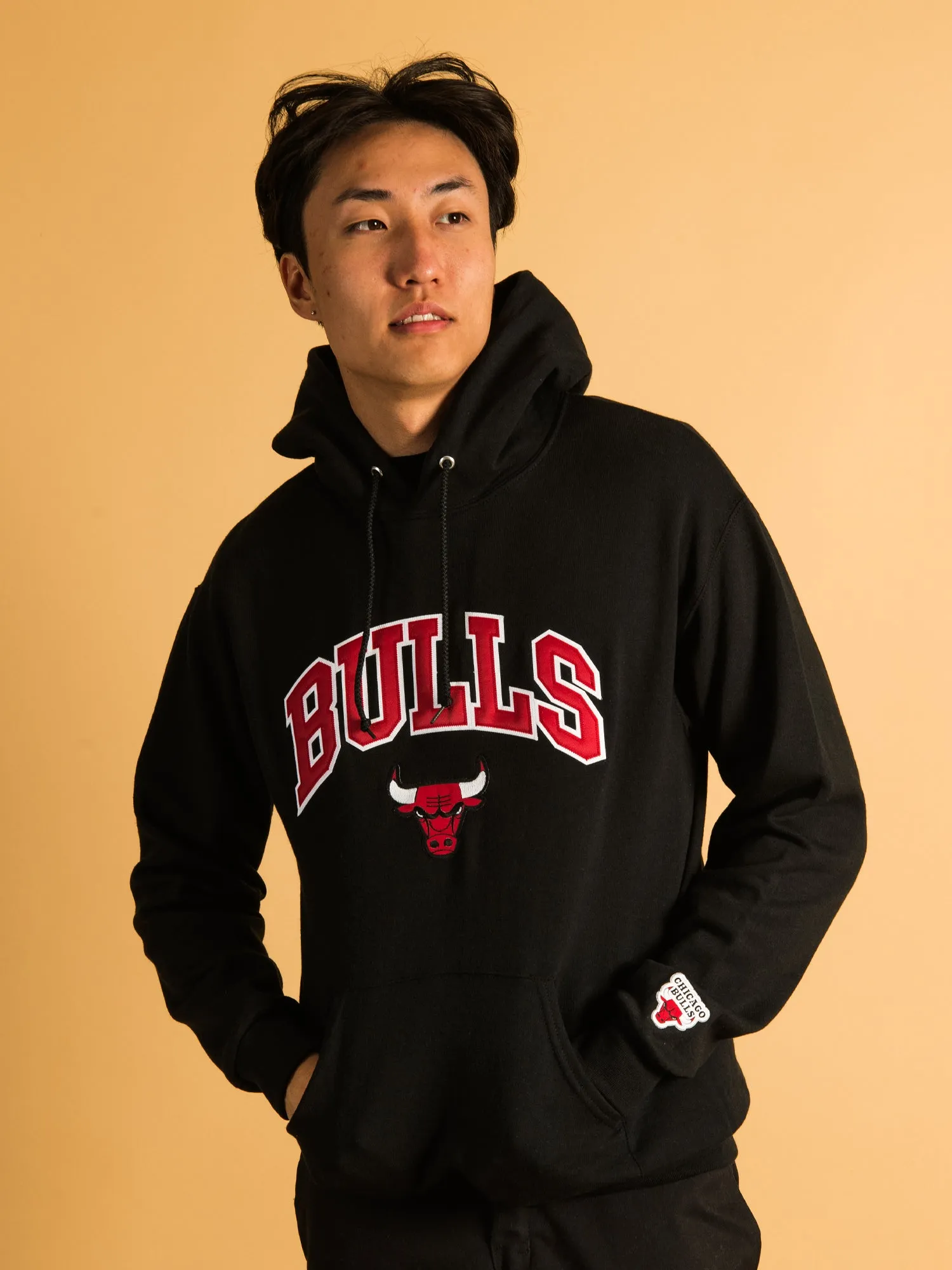 NBA CHICAGO BULLS EMBROIDERED HOODIE - CLEARANCE sold by Boathouse
