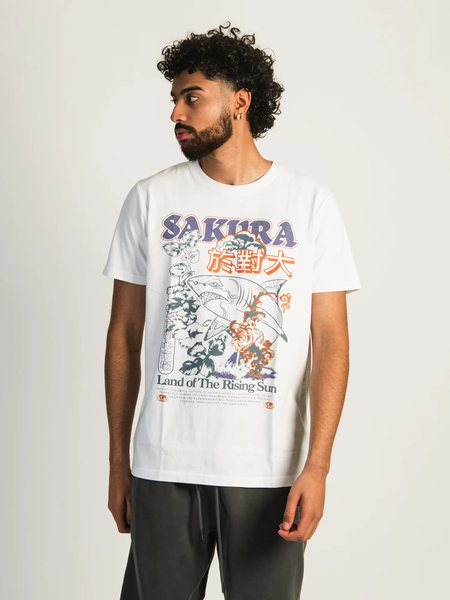 KOLBY ARAMIS SCREEN TEE - SAKURA sold by Boathouse product image thumbnail 2