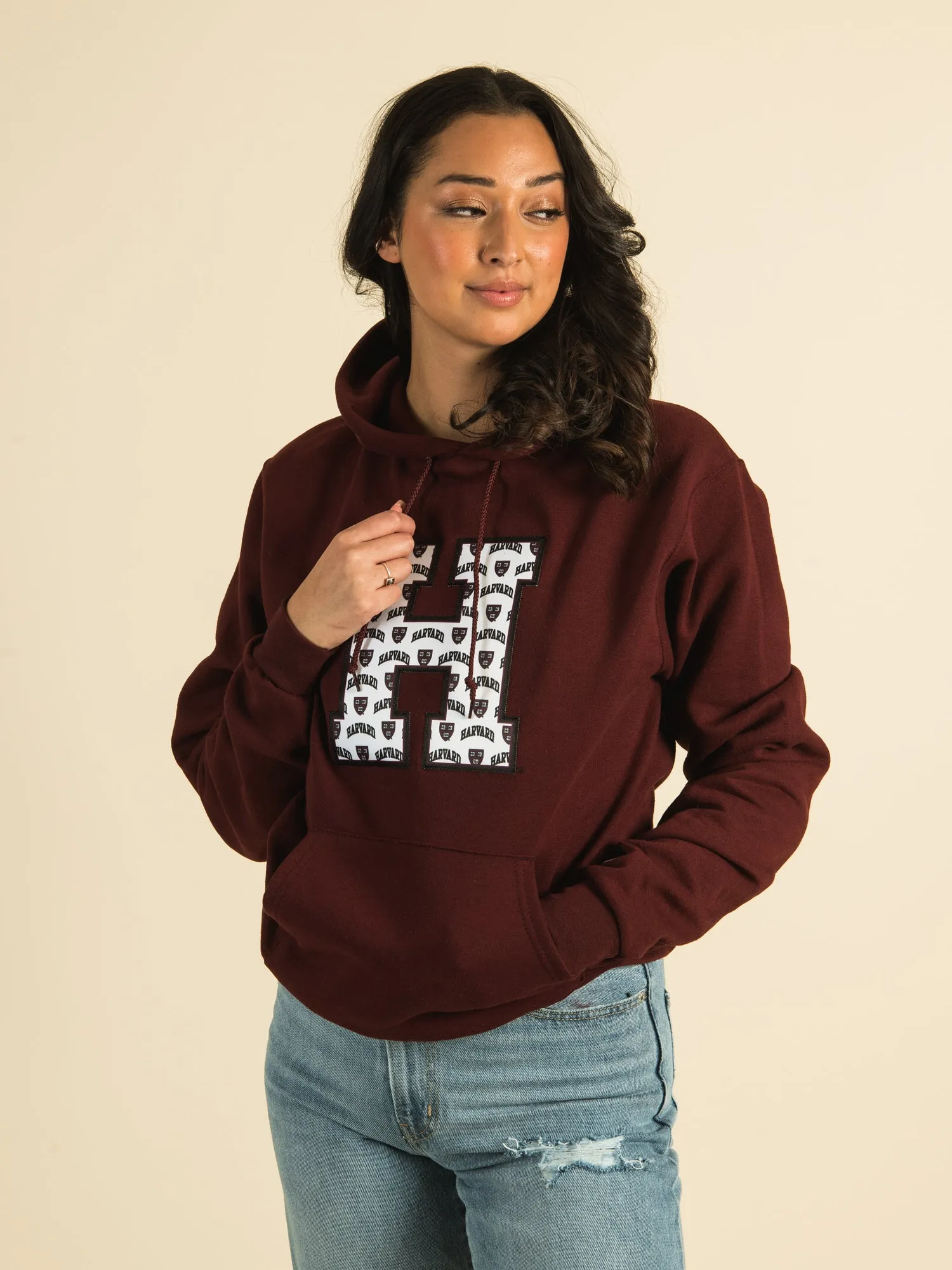 CHAMPION HARVARD ALL OVER PRINT PULLOVER HOODIE - CLEARANCE sold by Boathouse product image thumbnail 2