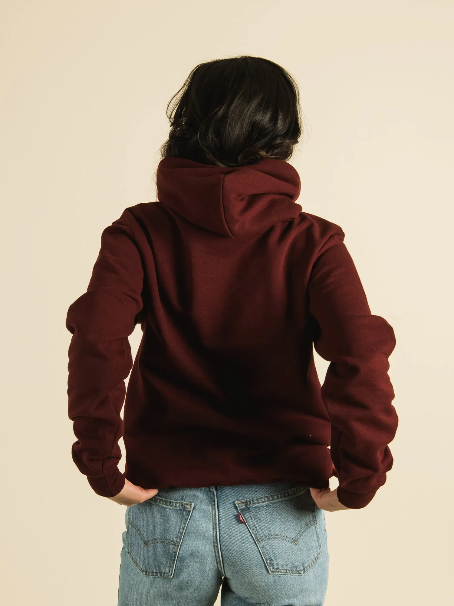CHAMPION HARVARD ALL OVER PRINT PULLOVER HOODIE - CLEARANCE sold by Boathouse product image thumbnail 4