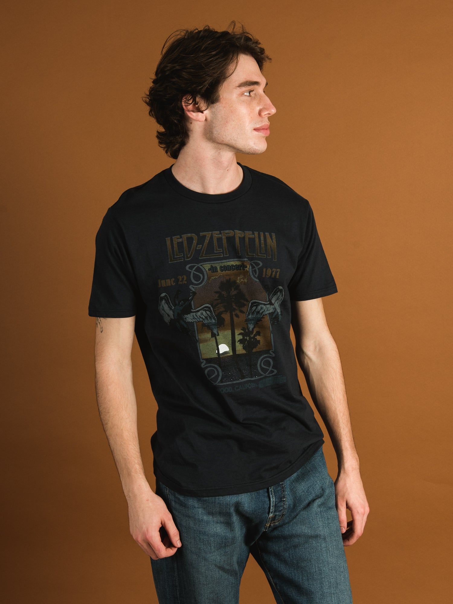 LED ZEPPELIN T-SHIRT sold by Boathouse product image thumbnail 2