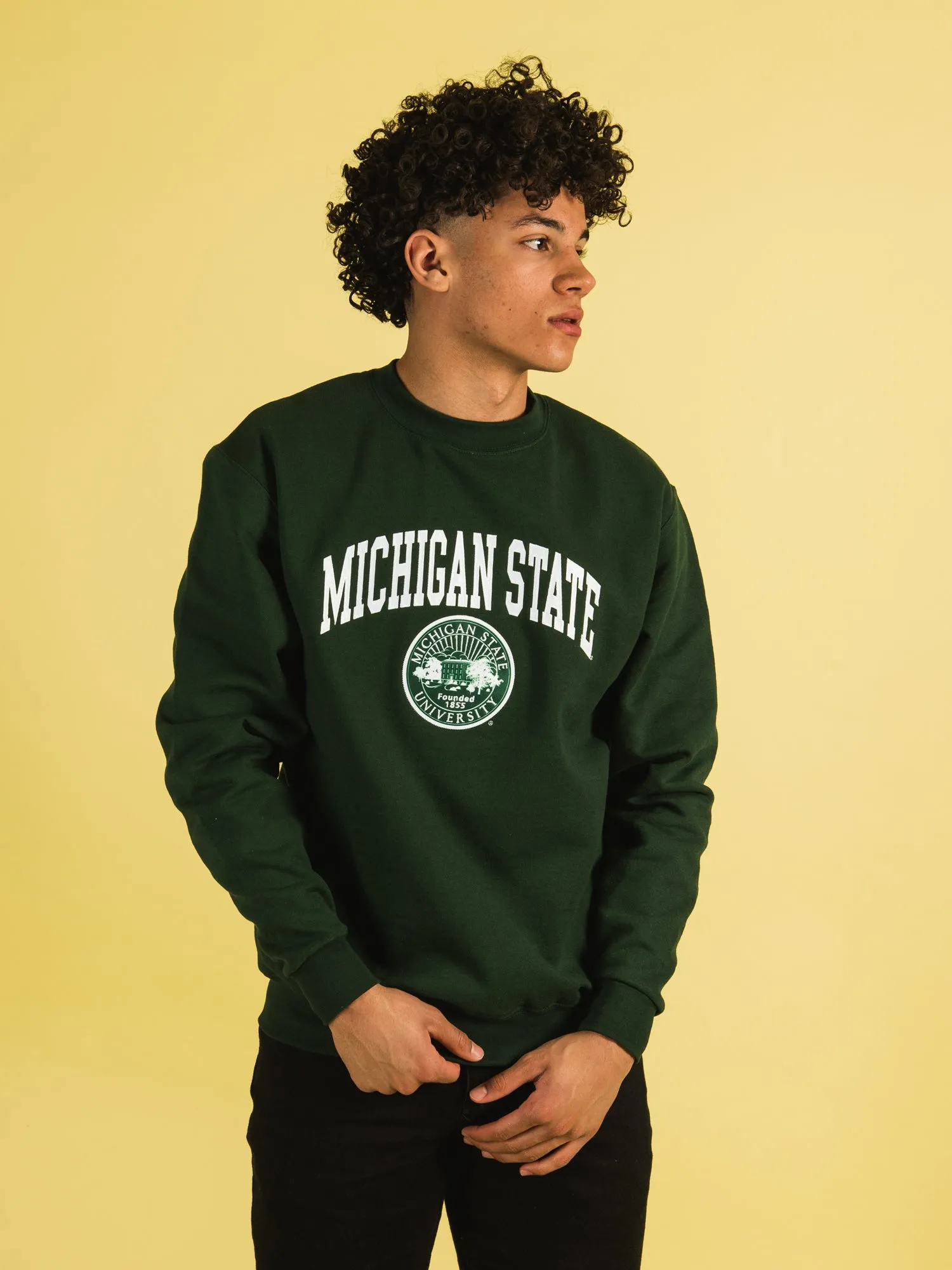NCAA MICHIGAN STATE CREWNECK - CLEARANCE sold by Boathouse product image thumbnail 3