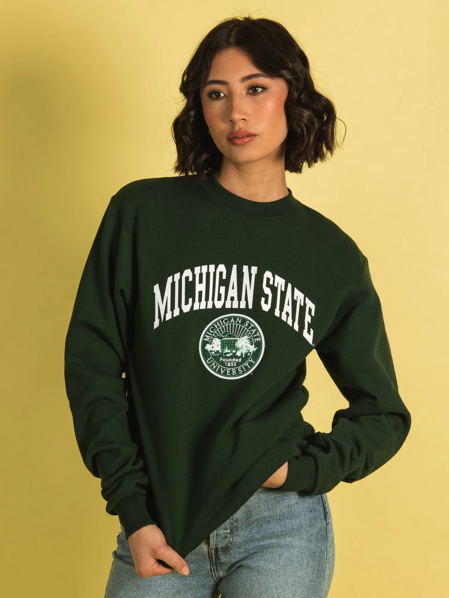 NCAA MICHIGAN STATE CREWNECK - CLEARANCE sold by Boathouse product image thumbnail 2