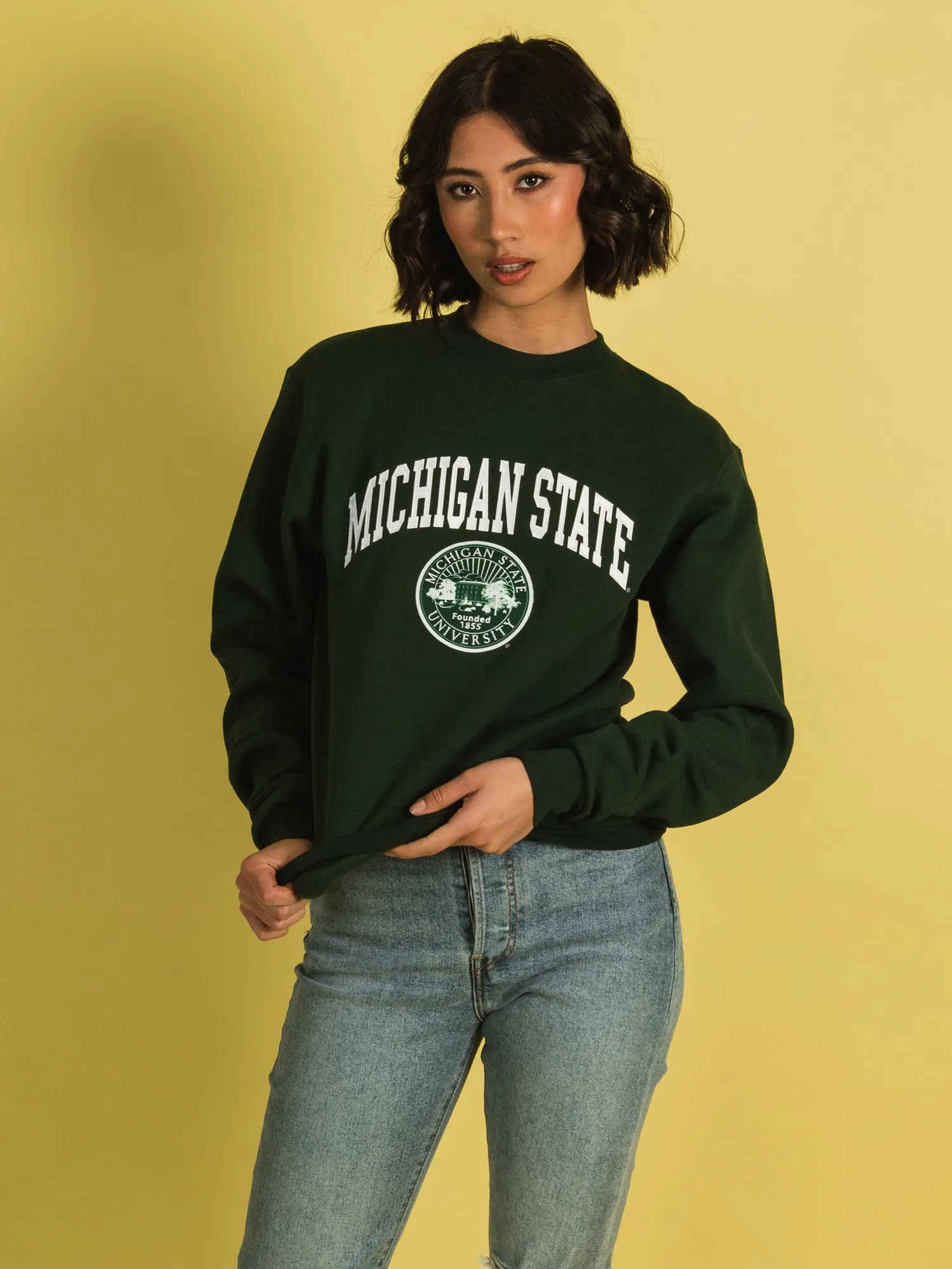 NCAA MICHIGAN STATE CREWNECK - CLEARANCE sold by Boathouse product image thumbnail 5