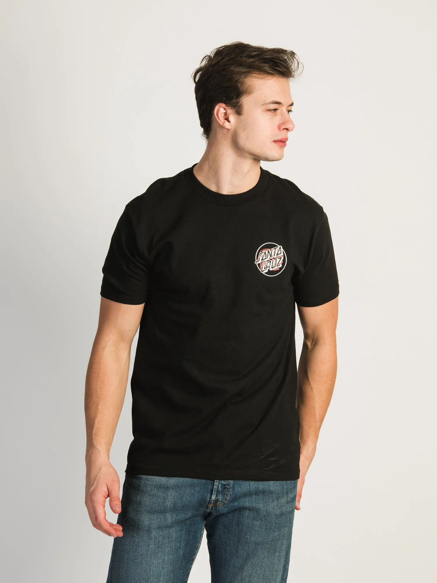SANTA CRUZ BEGINNING DOT T-SHIRT sold by Boathouse product image thumbnail 2