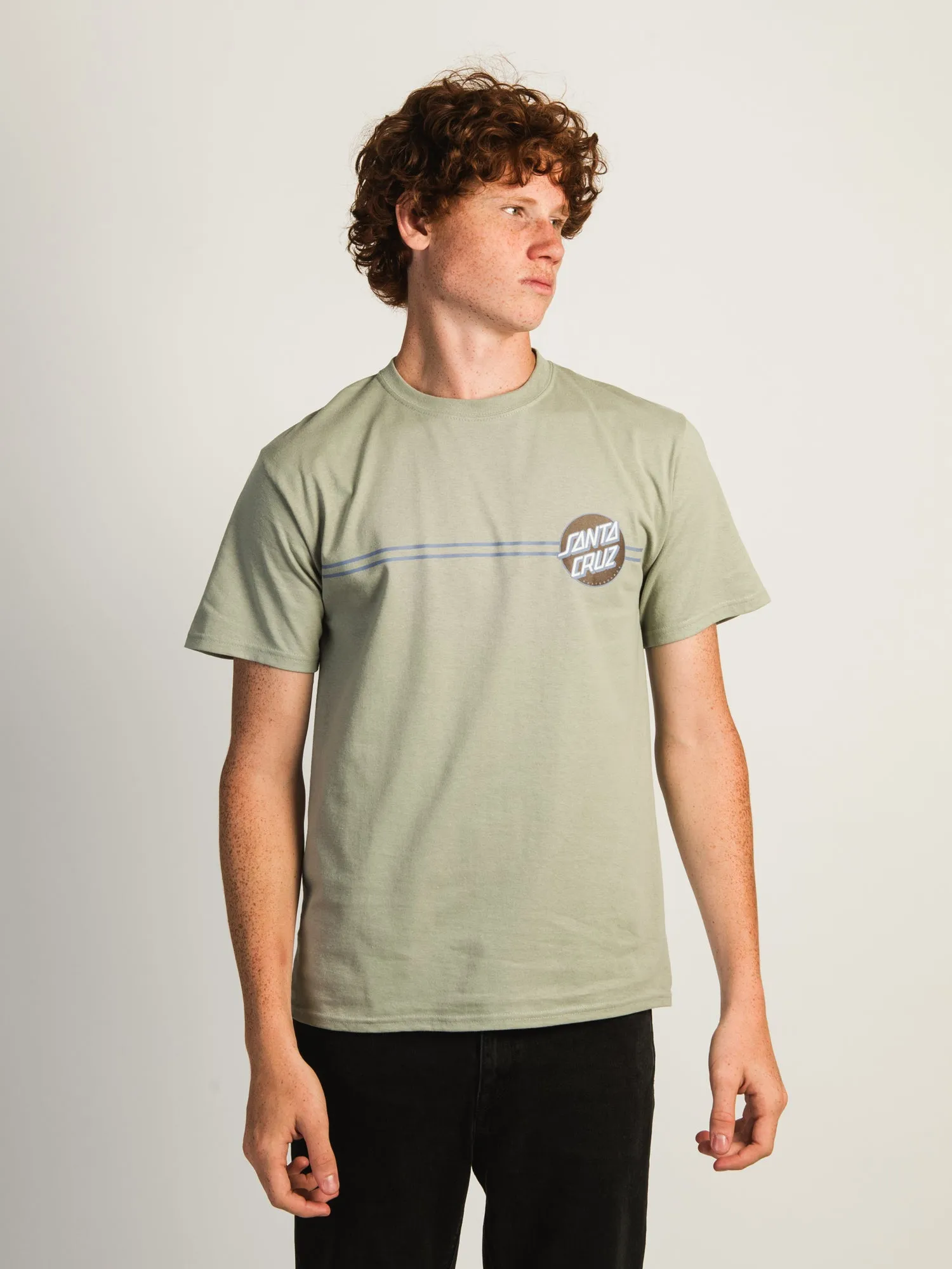 SANTA CRUZ OTHER DOT HEAVYWEIGHT T-SHIRT sold by Boathouse product image thumbnail 2