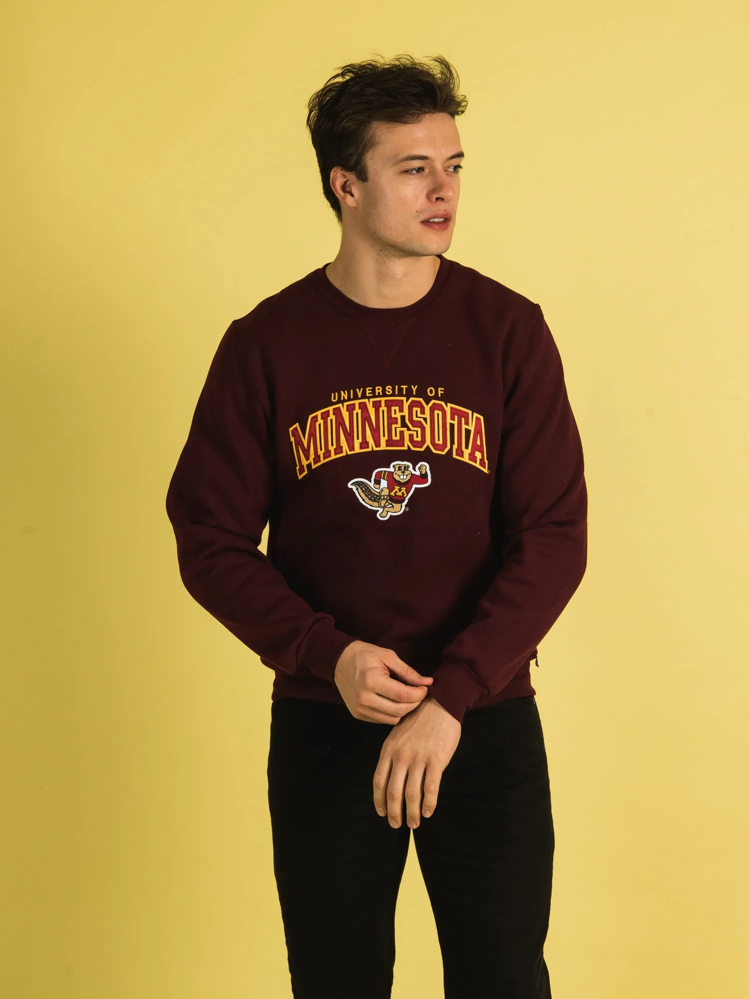 NCAA MINNESOTA CREWNECK - CLEARANCE sold by Boathouse product image thumbnail 3