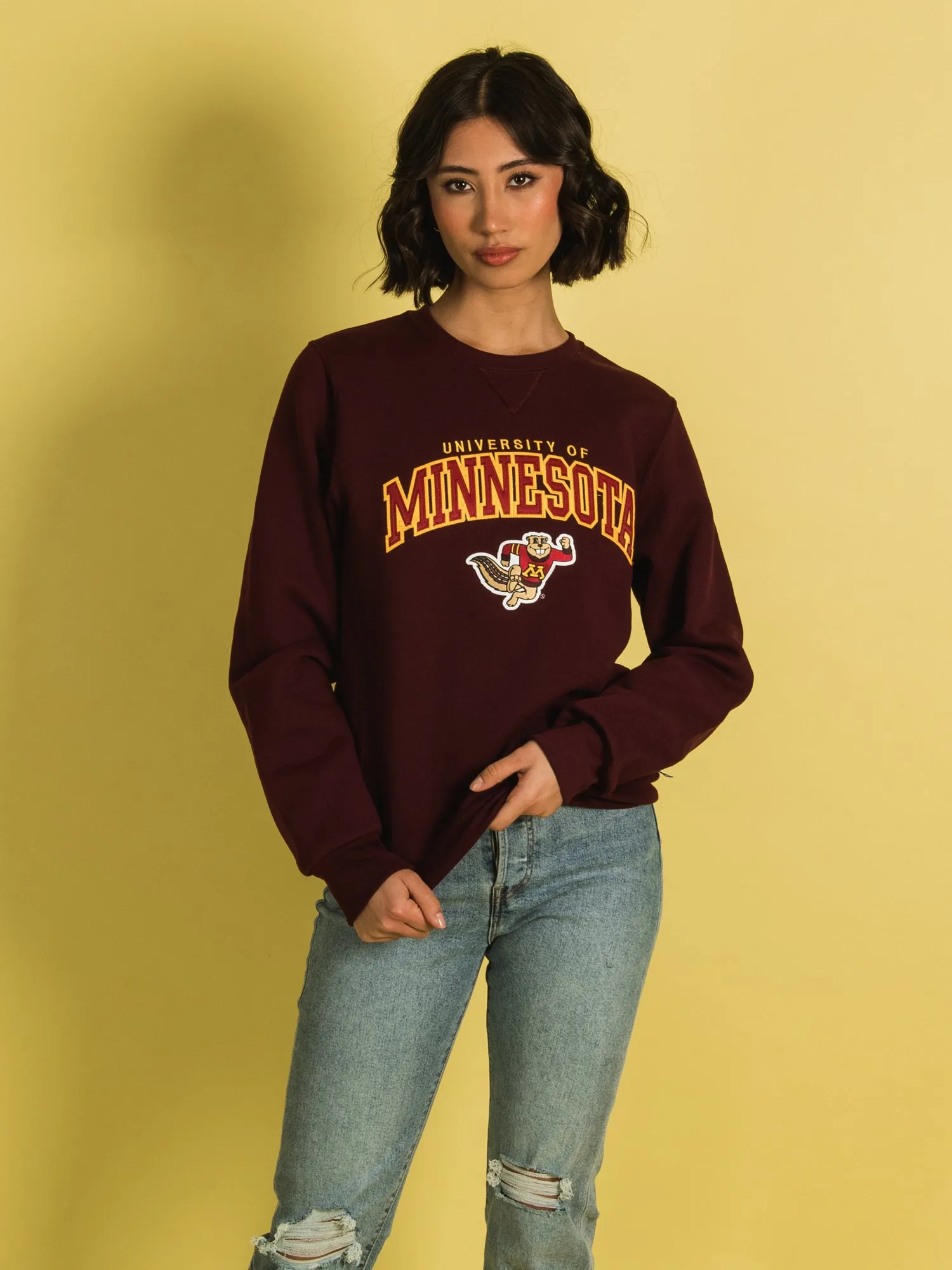 NCAA MINNESOTA CREWNECK - CLEARANCE sold by Boathouse product image thumbnail 5