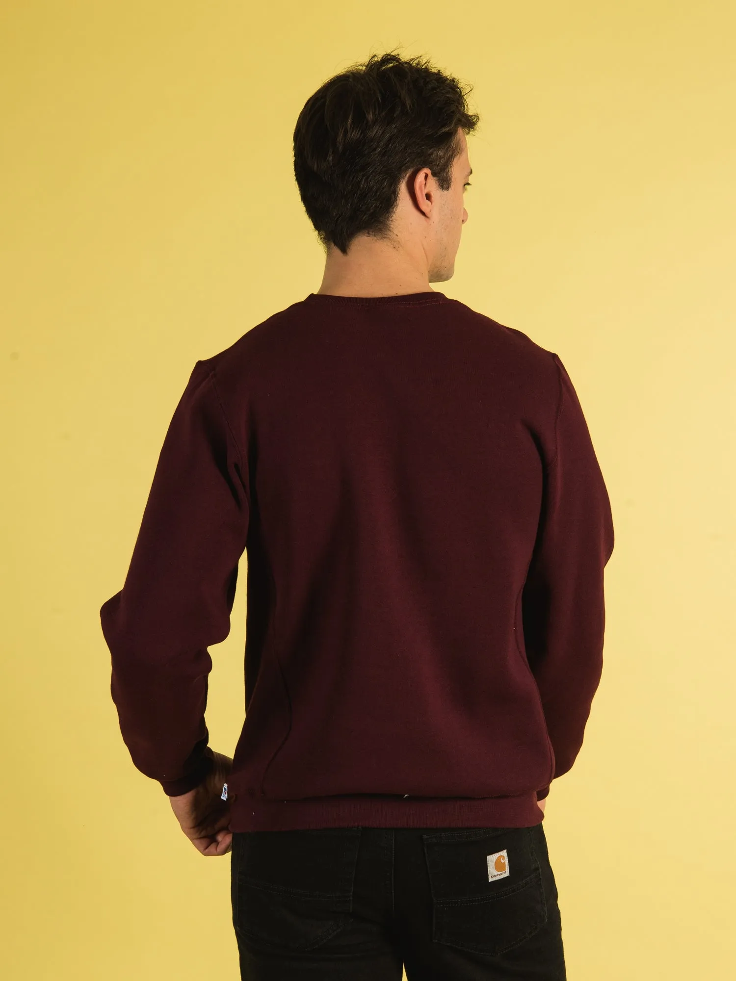 NCAA MINNESOTA CREWNECK - CLEARANCE sold by Boathouse product image thumbnail 4