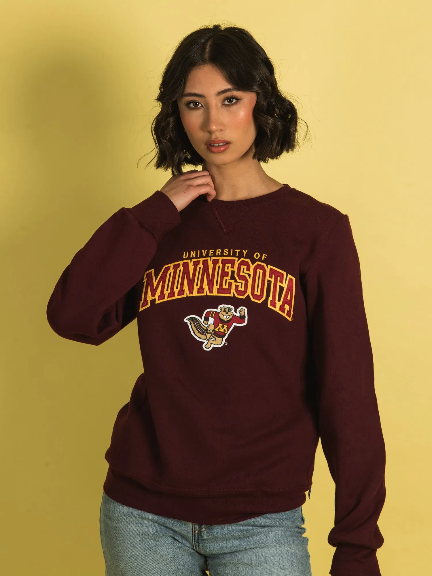 NCAA MINNESOTA CREWNECK - CLEARANCE sold by Boathouse product image thumbnail 2