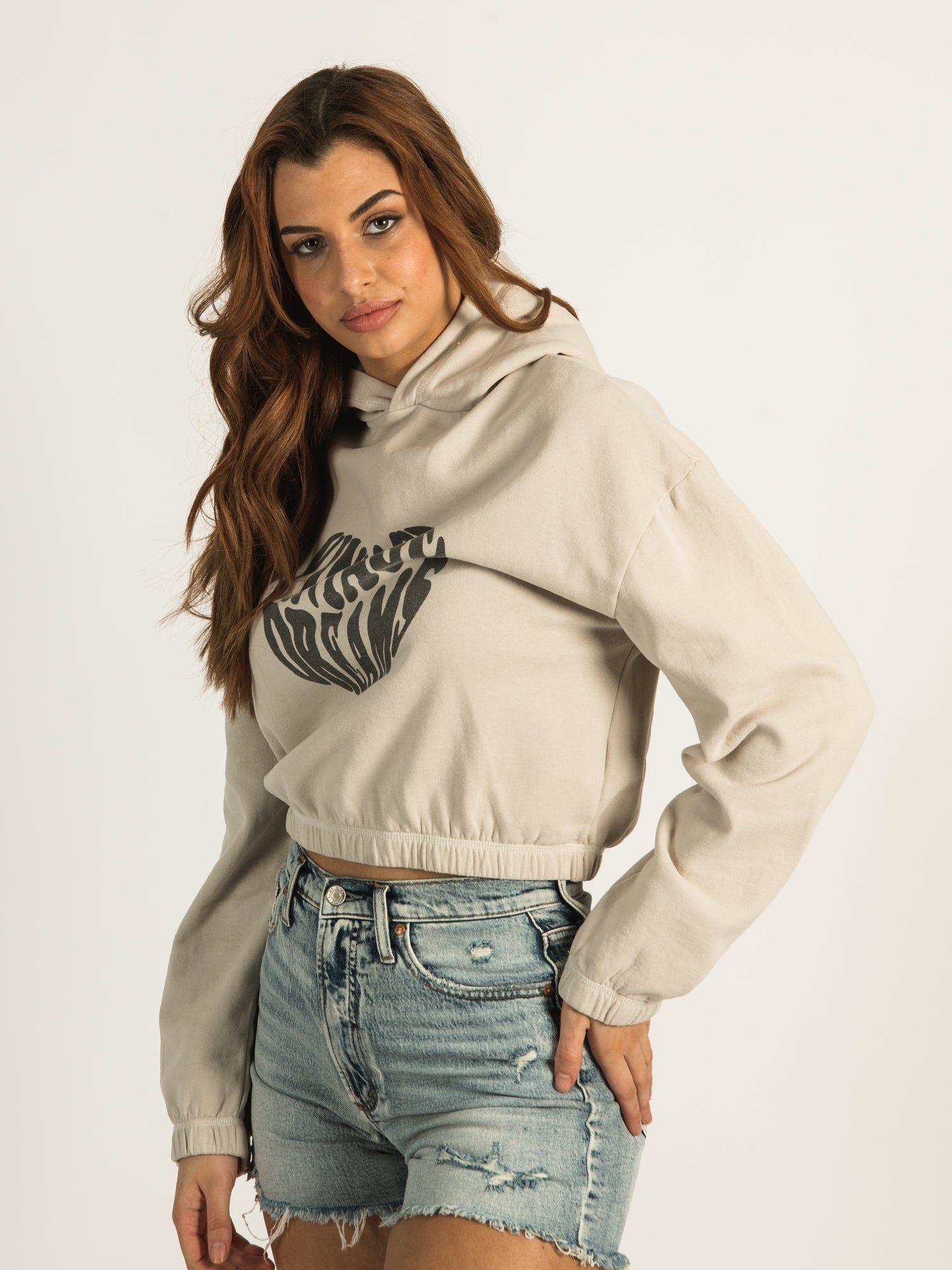 HARLOW HALLE POPOVER SCREEN HOODIE - CLEARANCE sold by Boathouse product image thumbnail 4