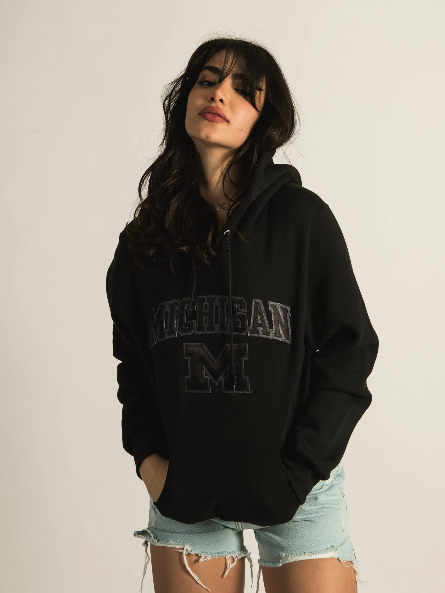 NCAA MICHIGAN TONAL PULLOVER HOODIE sold by Boathouse product image thumbnail 2