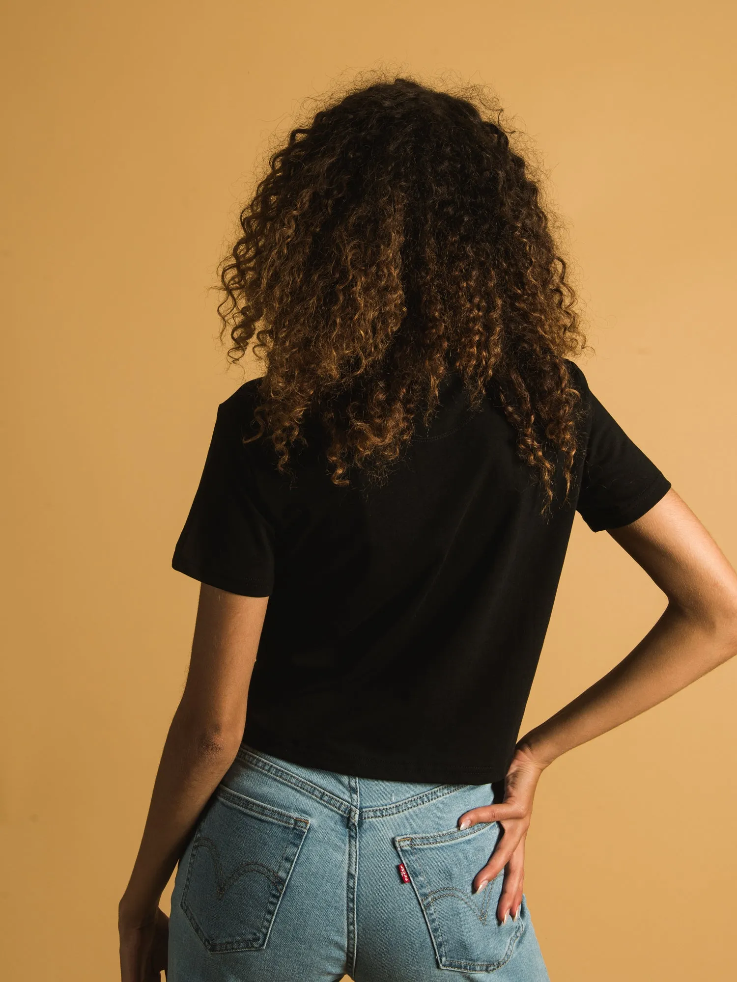 TENTREE TREELINE CROP T-SHIRT - CLEARANCE sold by Boathouse product image thumbnail 4