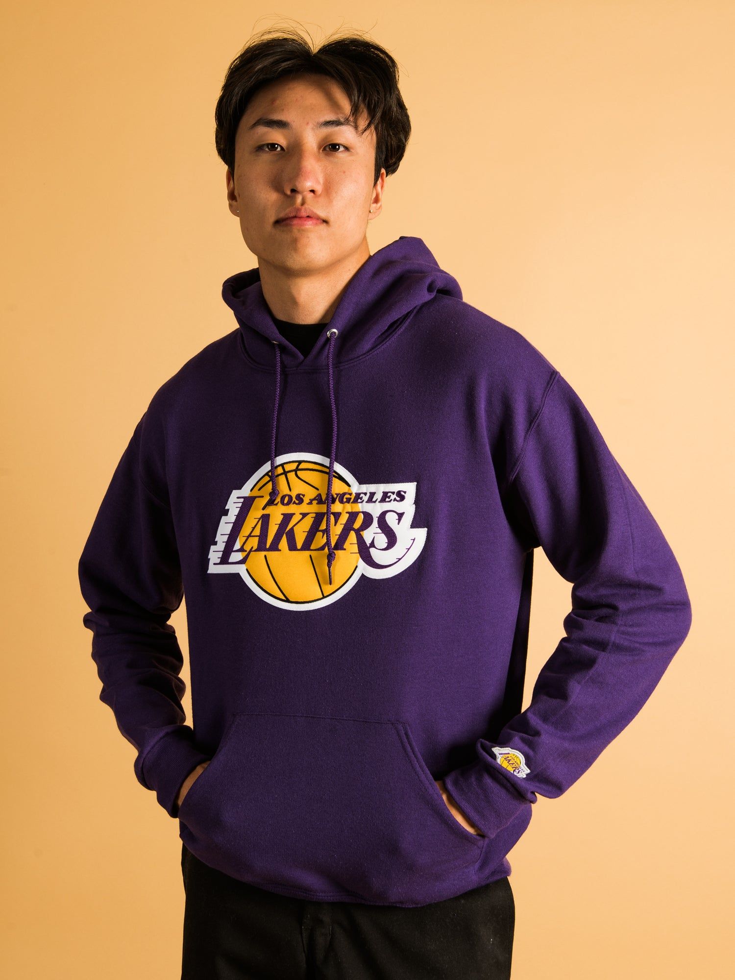 NBA LOS ANGELES LAKERS EMBROIDERED HOODIE sold by Boathouse