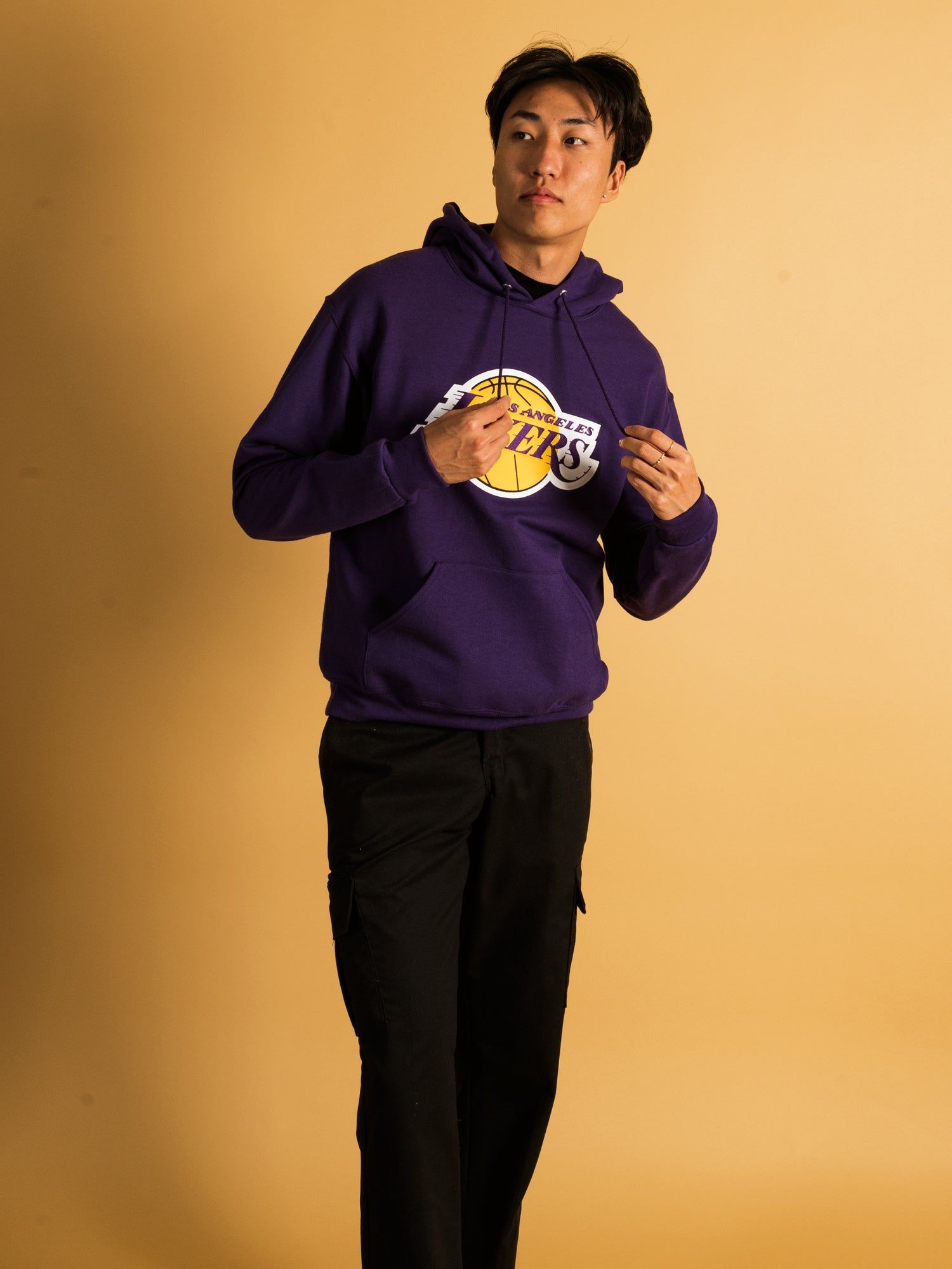 NBA LOS ANGELES LAKERS EMBROIDERED HOODIE sold by Boathouse product image thumbnail 3