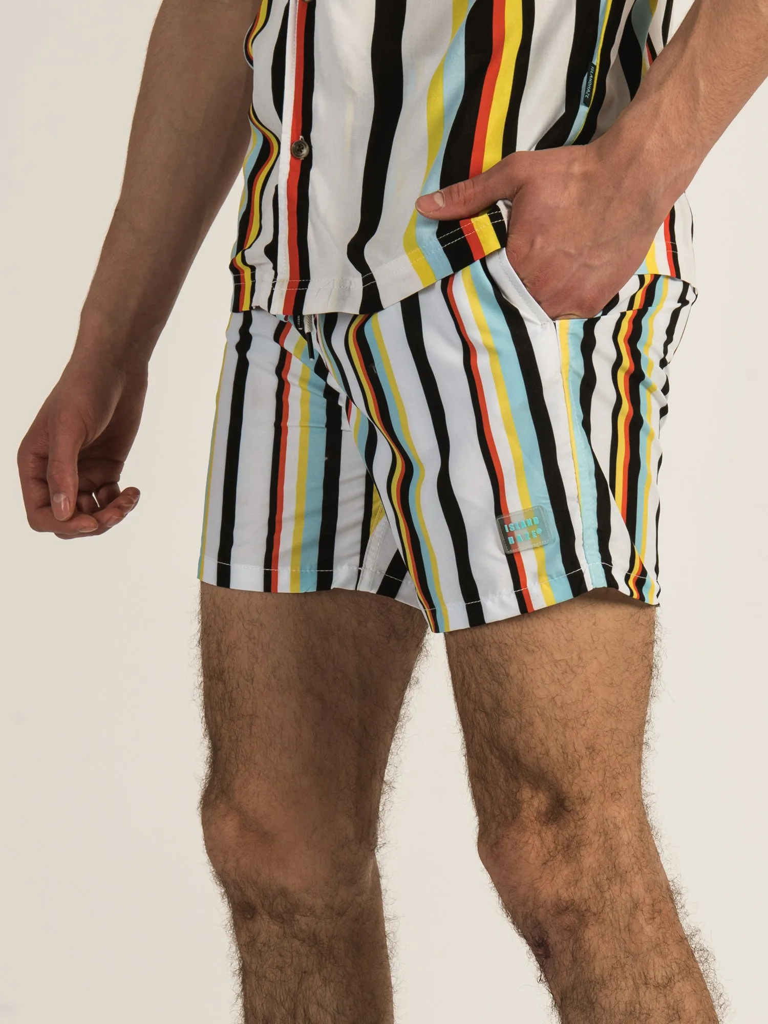 ISLAND HAZE VERTICAL STRIPE/RAYURE 15" VOLLEY SHORT - CLEARANCE sold by Boathouse product image thumbnail 3