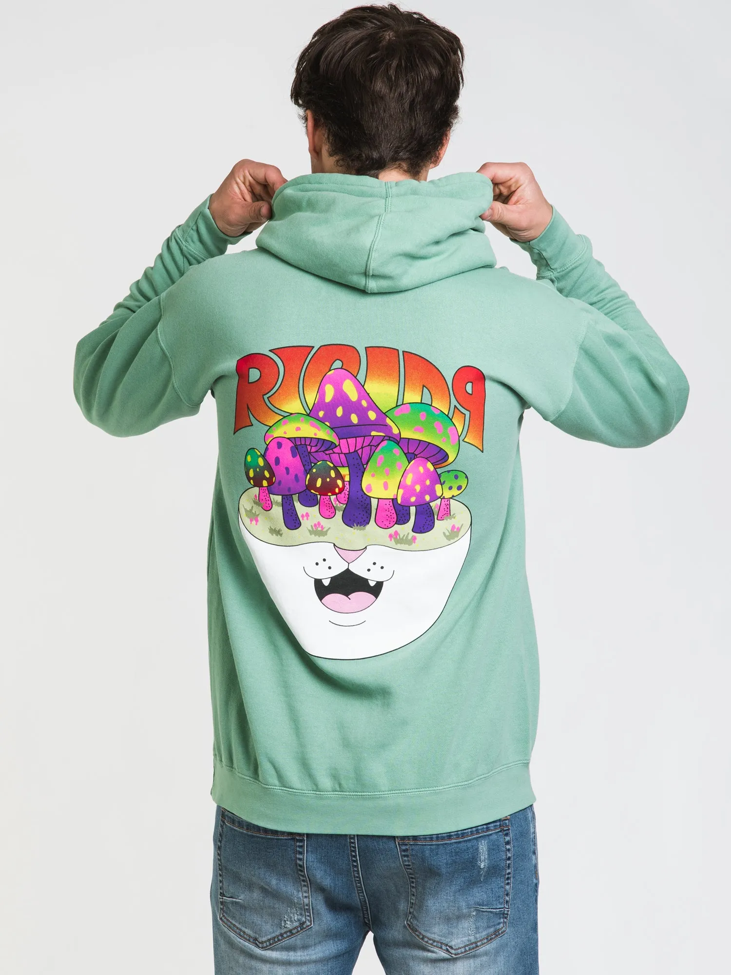 RIP N DIP ZEN GARDEN PULLOVER HOODIE - CLEARANCE sold by Boathouse