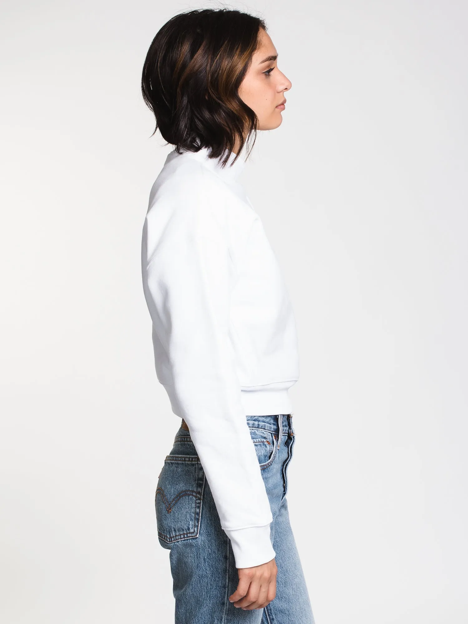 CHAMPION REVERSE WEAVE MOCKNECK - CLEARANCE sold by Boathouse product image thumbnail 2