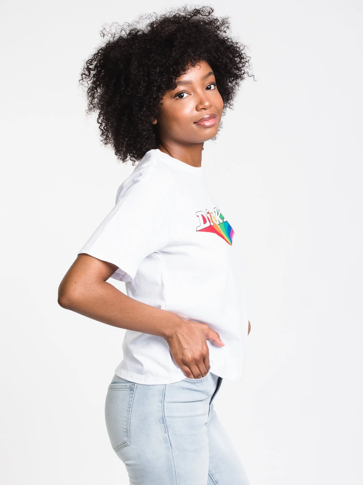DICKIES RAINBOW MARQUEE TOMBOY SHORT SLEEVE T-SHIRT - CLEARANCE sold by Boathouse product image thumbnail 3