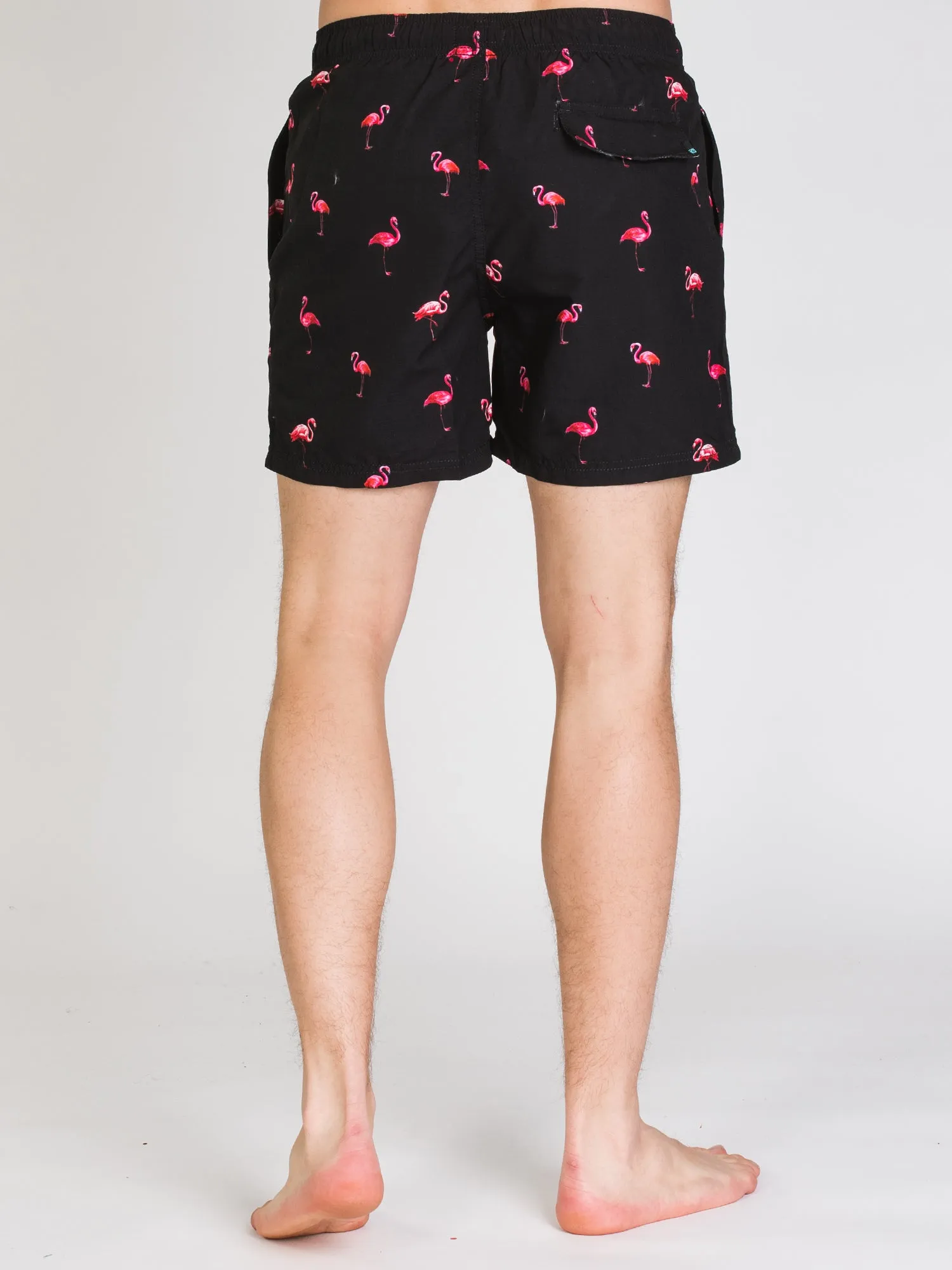 ISLAND HAZE FLAMINGO'S 15" VOLLEY SHORT - CLEARANCE sold by Boathouse product image thumbnail 2