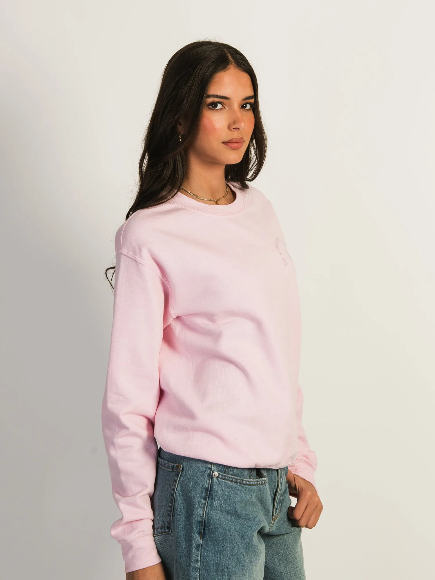 BARSTOOL SPORTS BE A DECENT HUMAN TEXT CREWNECK sold by Boathouse product image thumbnail 3