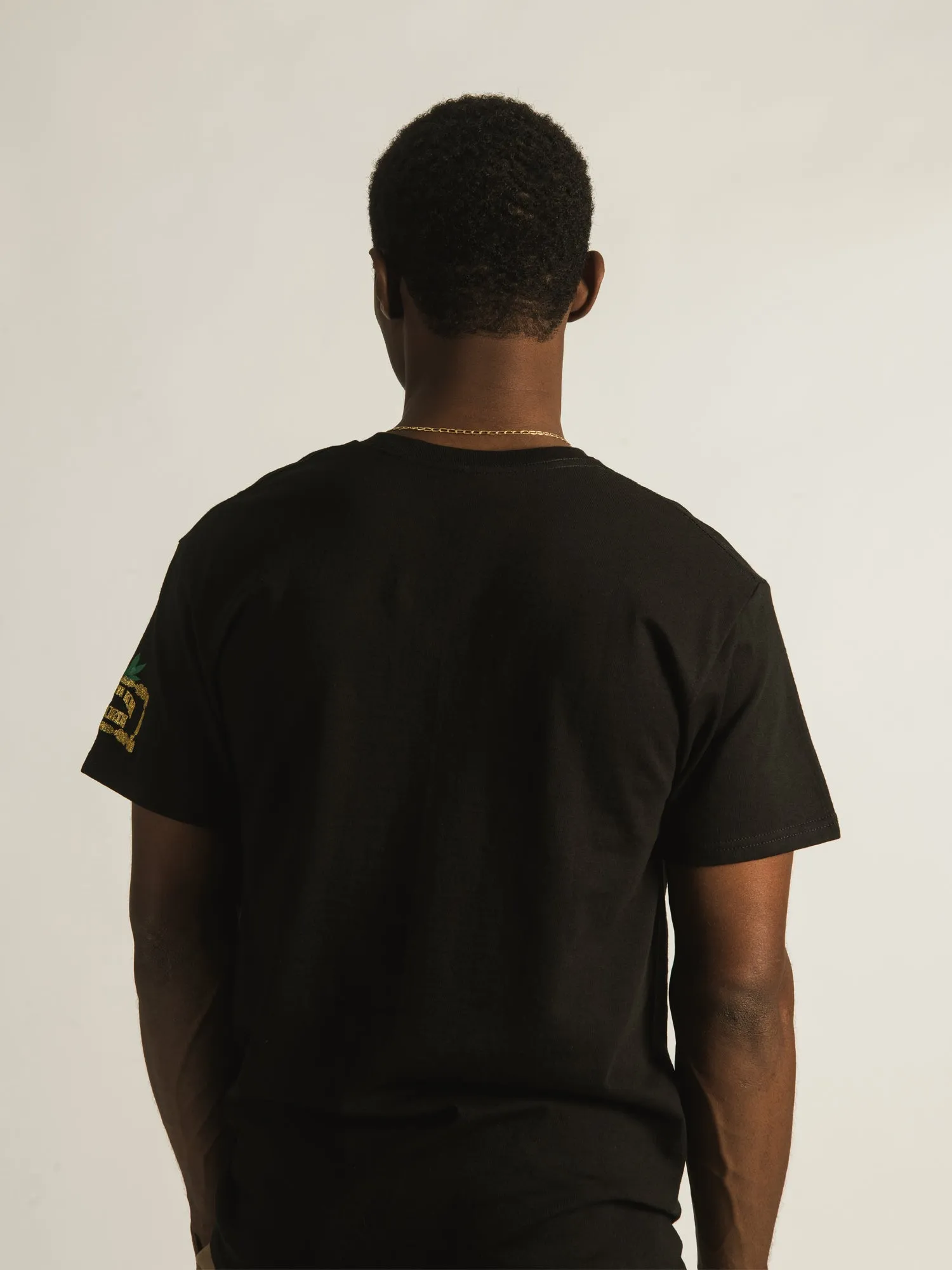 CROOKS & CASTLES DR DRE THE CHRONIC T-SHIRT - CLEARANCE sold by Boathouse product image thumbnail 4