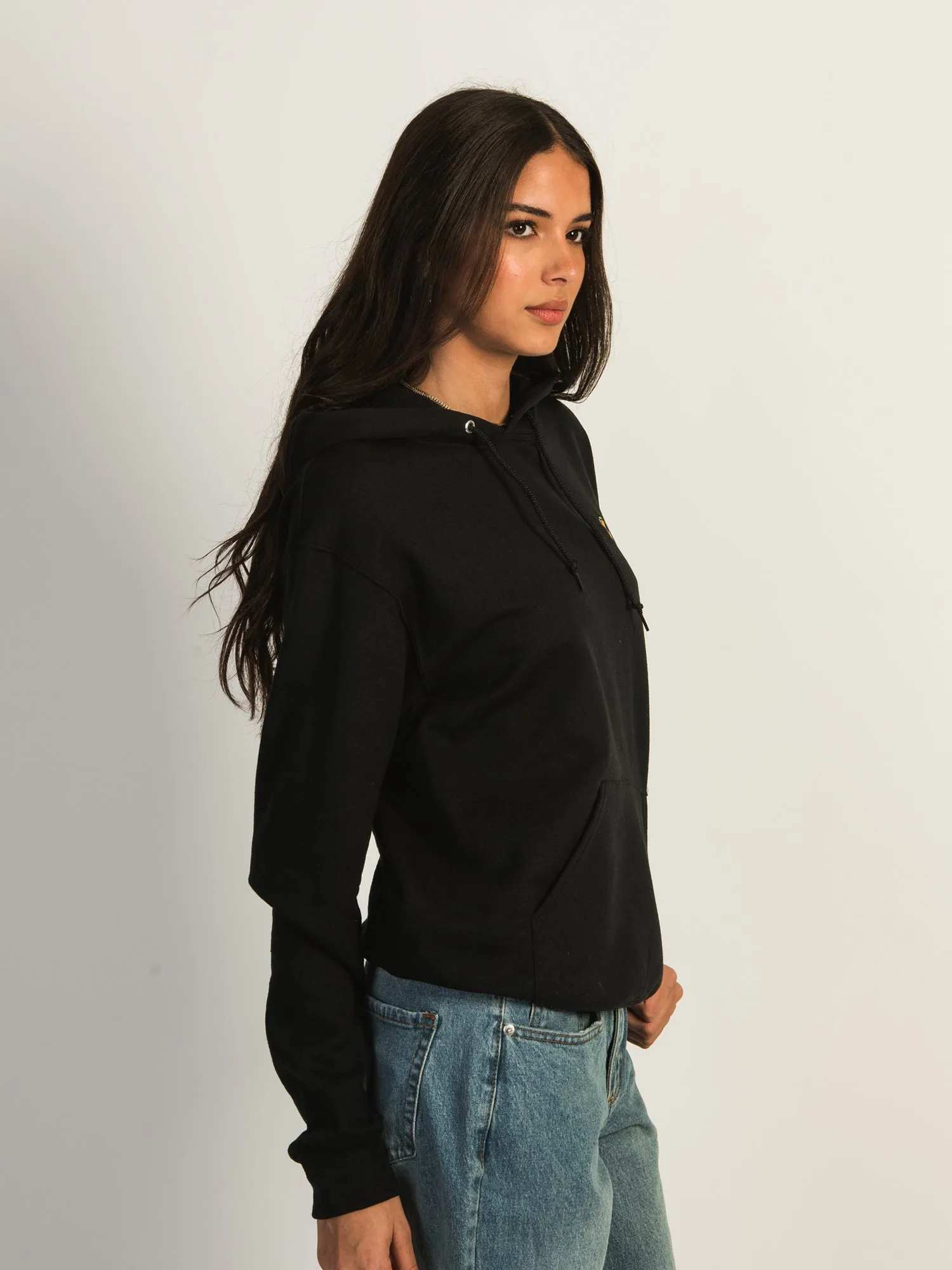 DUCK W/GLASSES EMBROIDERED HOODIE sold by Boathouse product image thumbnail 4