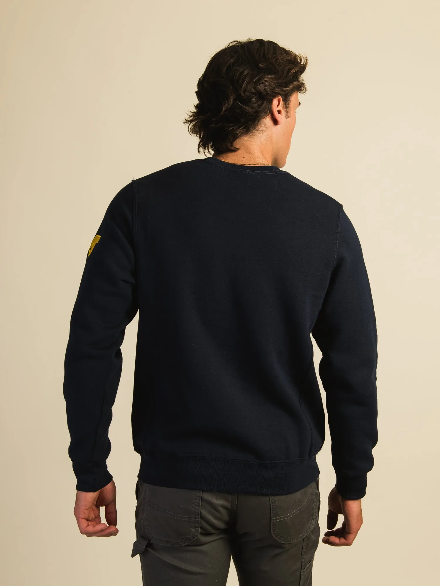 NCAA MICHIGAN SLEEVE EMBROIDERED CREW sold by Boathouse product image thumbnail 5