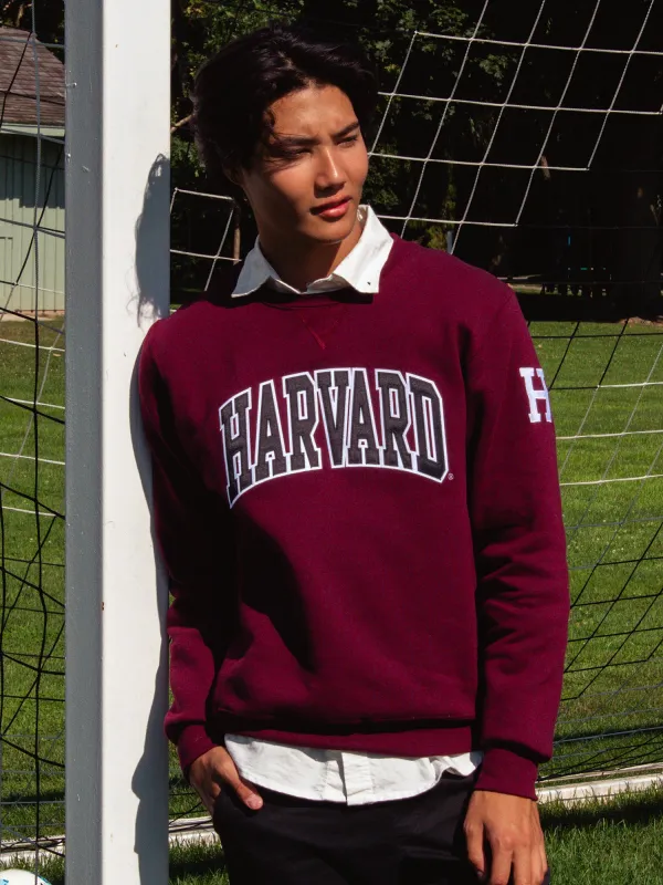NCAA HARVARD SLEEVE EMBROIDERED CREW sold by Boathouse