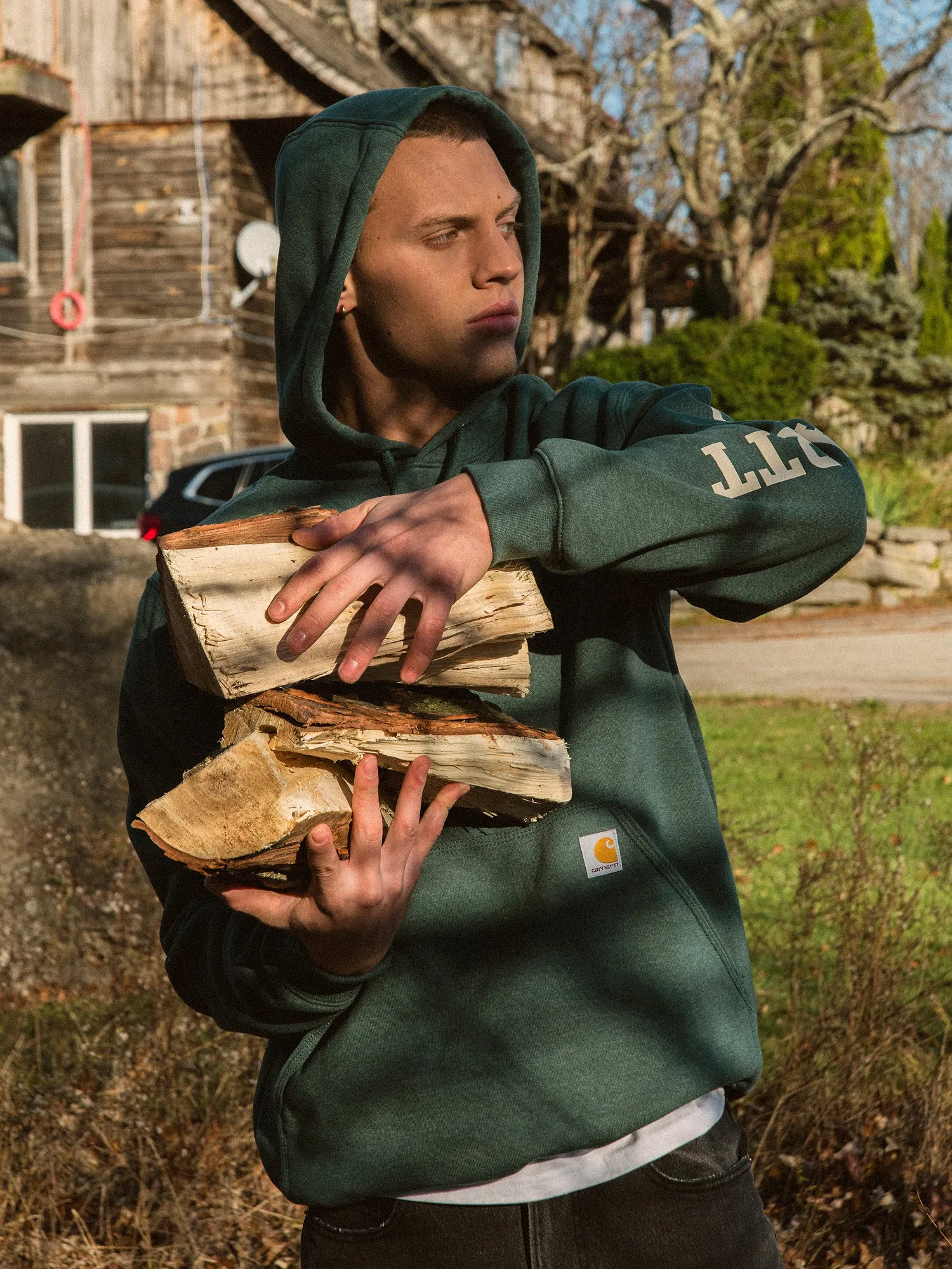 CARHARTT LOOSE FIT MIDWEIGHT 1889 GRAPHIC HOODIE sold by Boathouse product image thumbnail 2