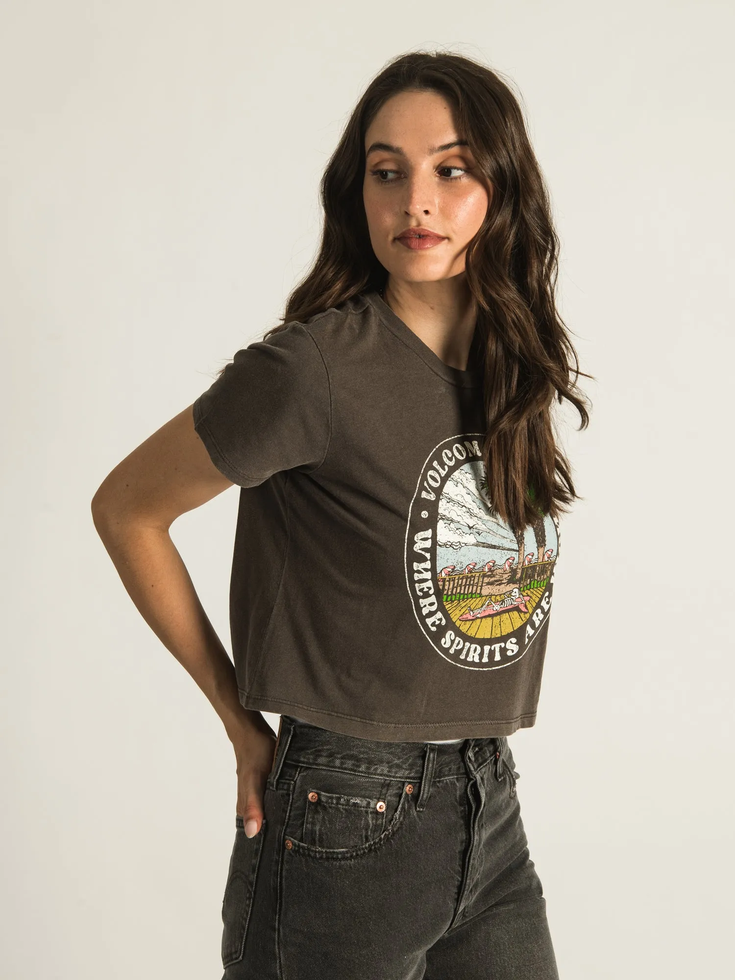 VOLCOM ENTERNET T-SHIRT - CLEARANCE sold by Boathouse product image thumbnail 3