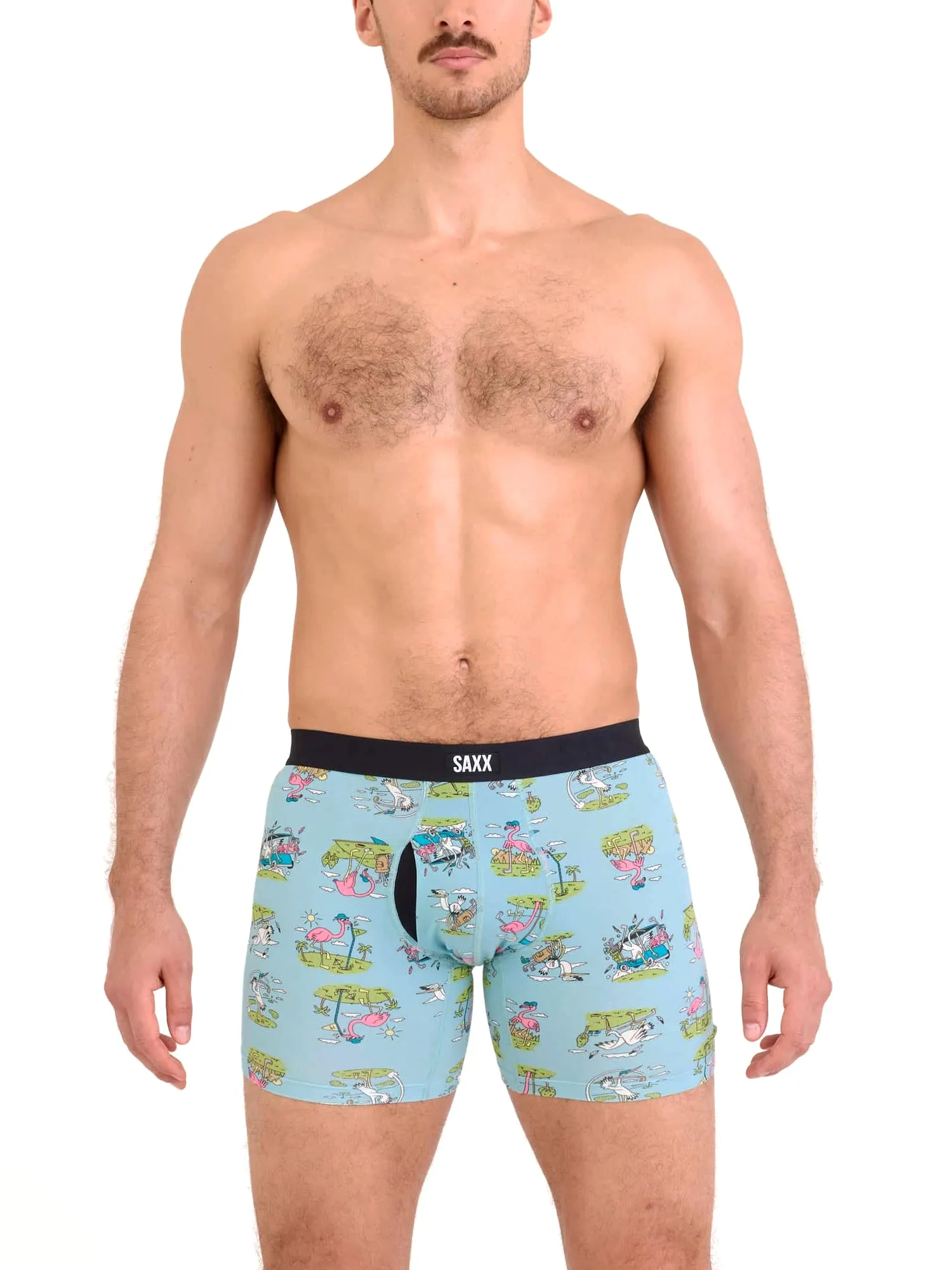 SAXX VIBE BIRDIE BLUE TIDE BOXER BRIEF sold by Boathouse product image thumbnail 2
