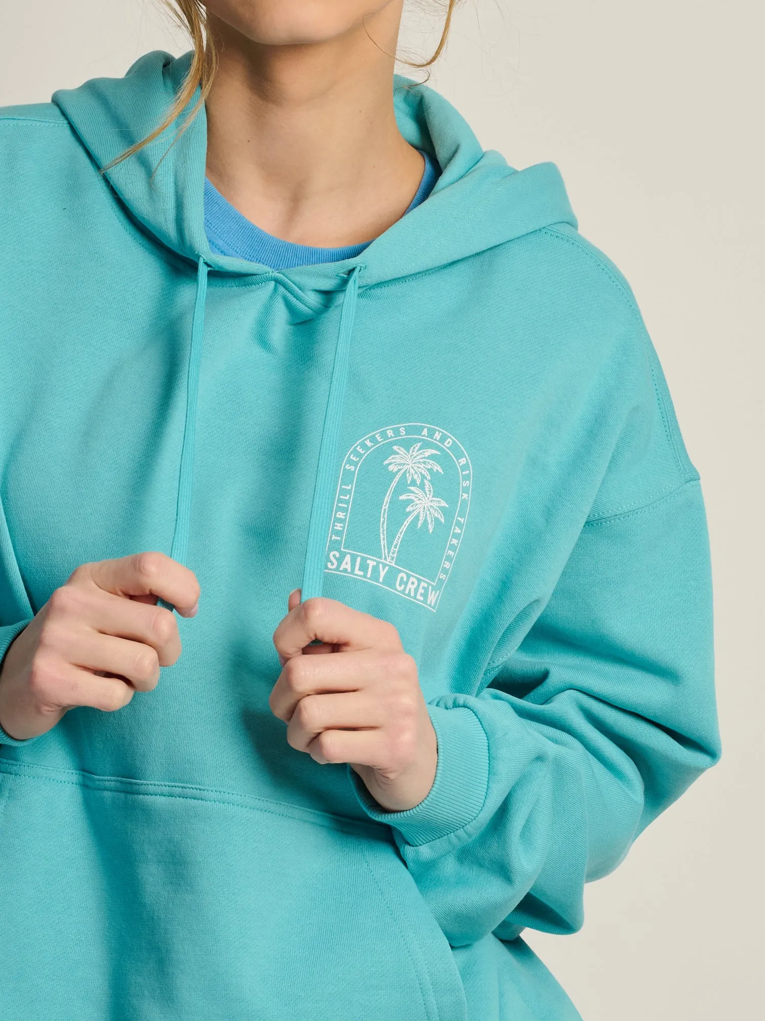 SALTY CREW ARCHWAY HOODIE sold by Boathouse product image thumbnail 4