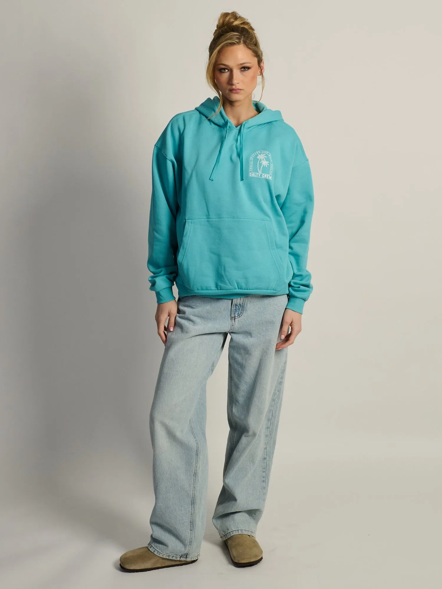 SALTY CREW ARCHWAY HOODIE sold by Boathouse product image thumbnail 3