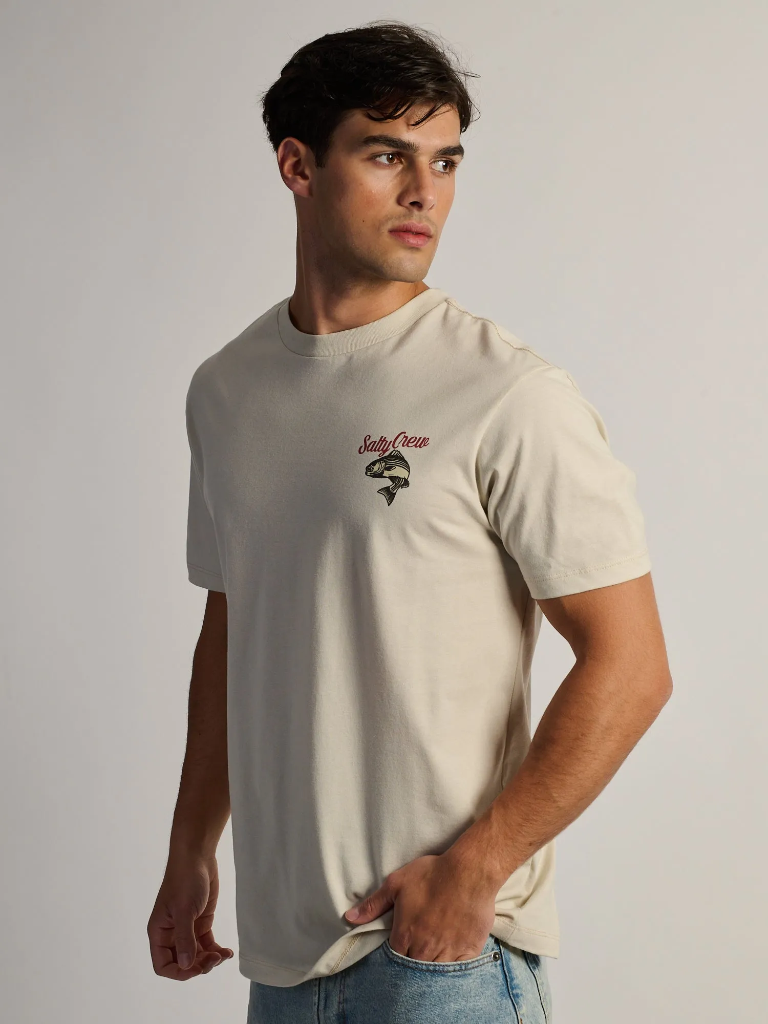 SALTY CREW STRIPED T-SHIRT sold by Boathouse product image thumbnail 5