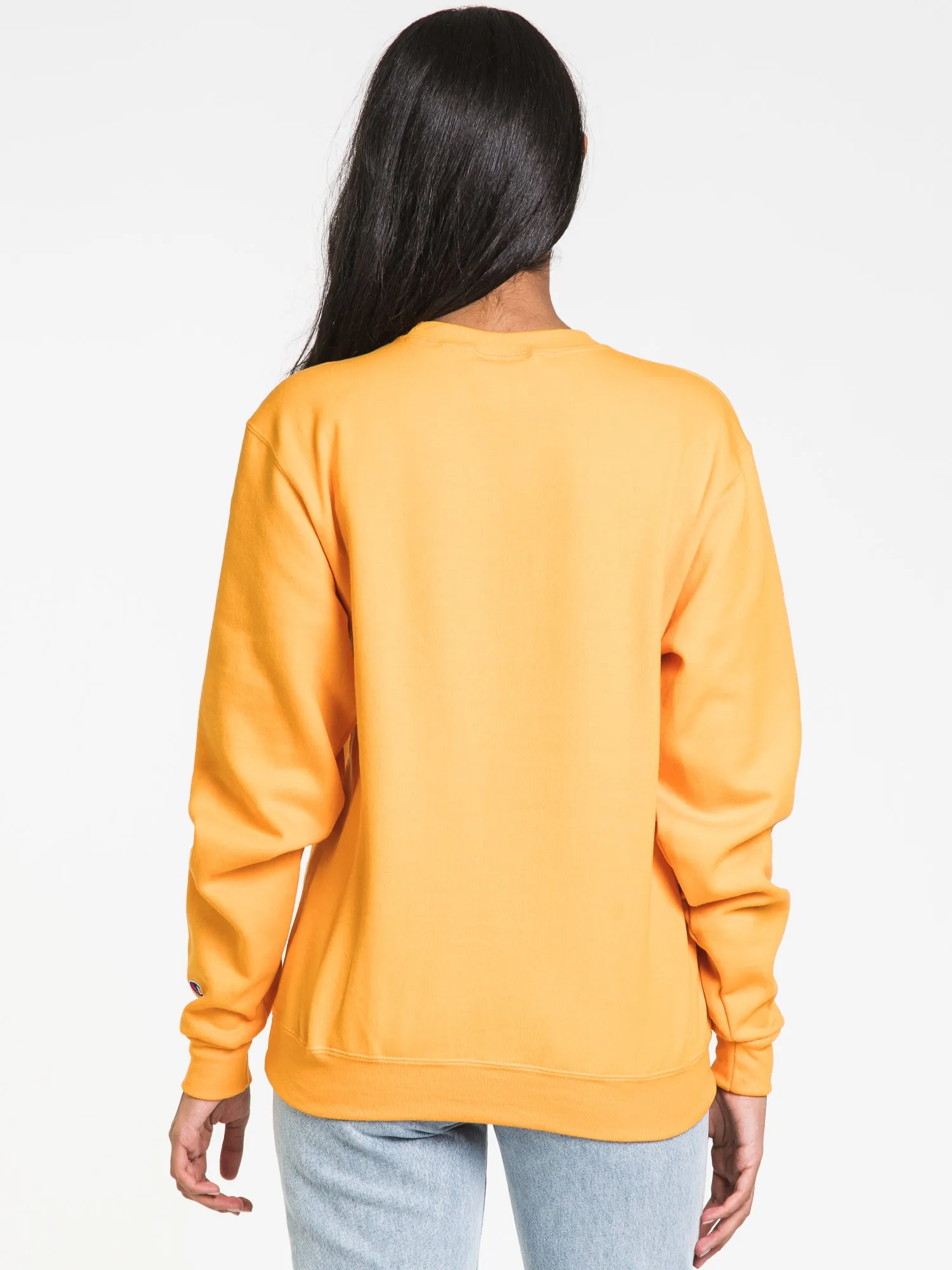 CHAMPION ECO POWERBLEND MICHIGAN CREWNECK SWEATER - CLEARANCE sold by Boathouse product image thumbnail 5