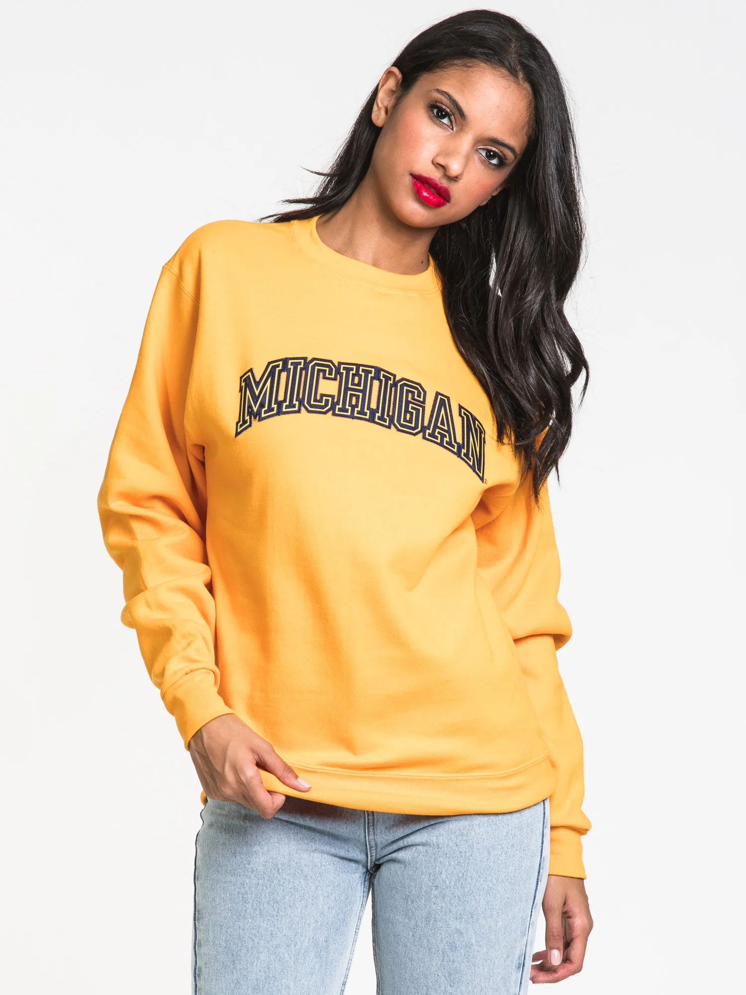 CHAMPION ECO POWERBLEND MICHIGAN CREWNECK SWEATER - CLEARANCE sold by Boathouse product image thumbnail 2