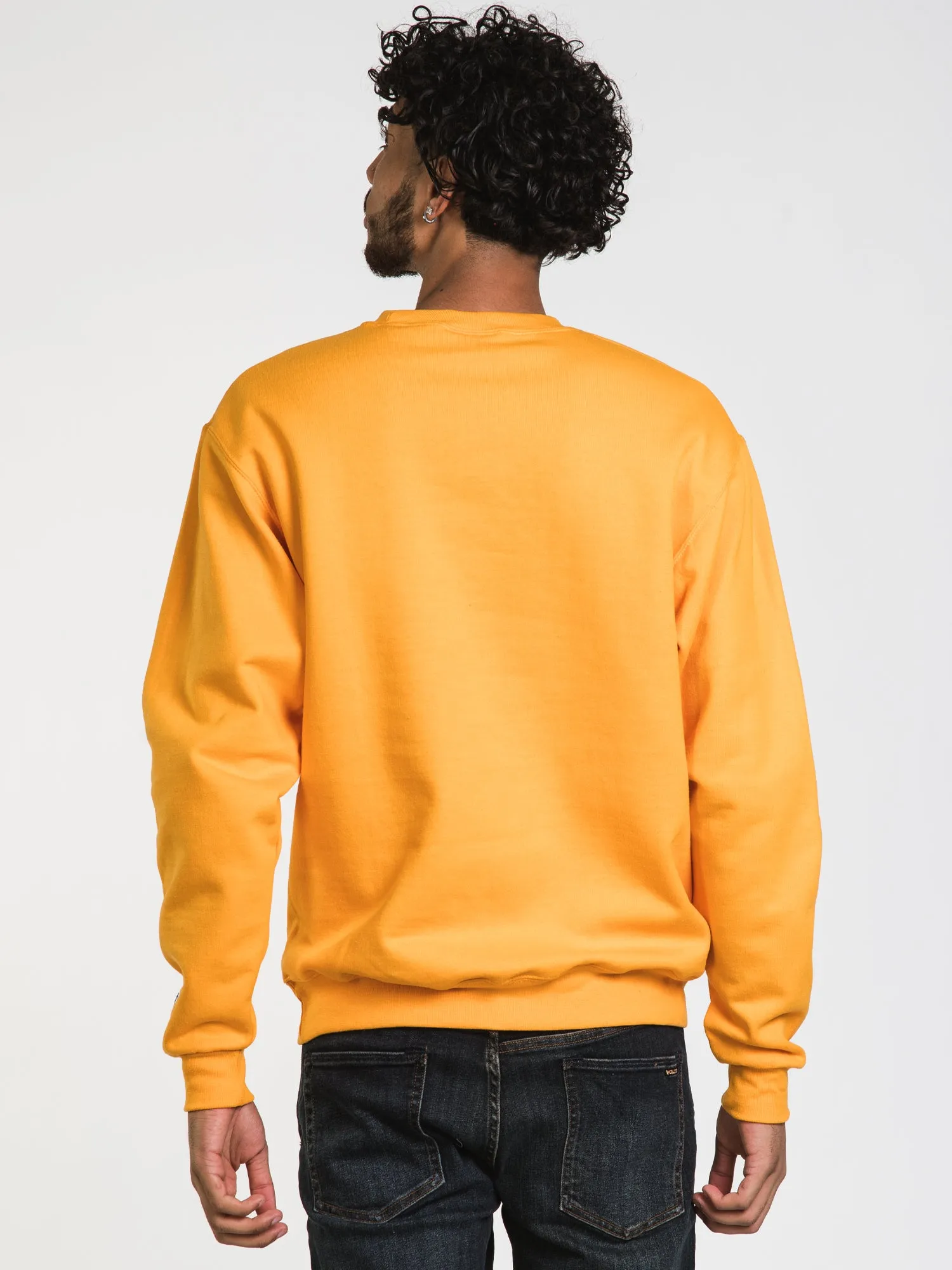 CHAMPION ECO POWERBLEND MICHIGAN CREWNECK SWEATER - CLEARANCE sold by Boathouse product image thumbnail 3