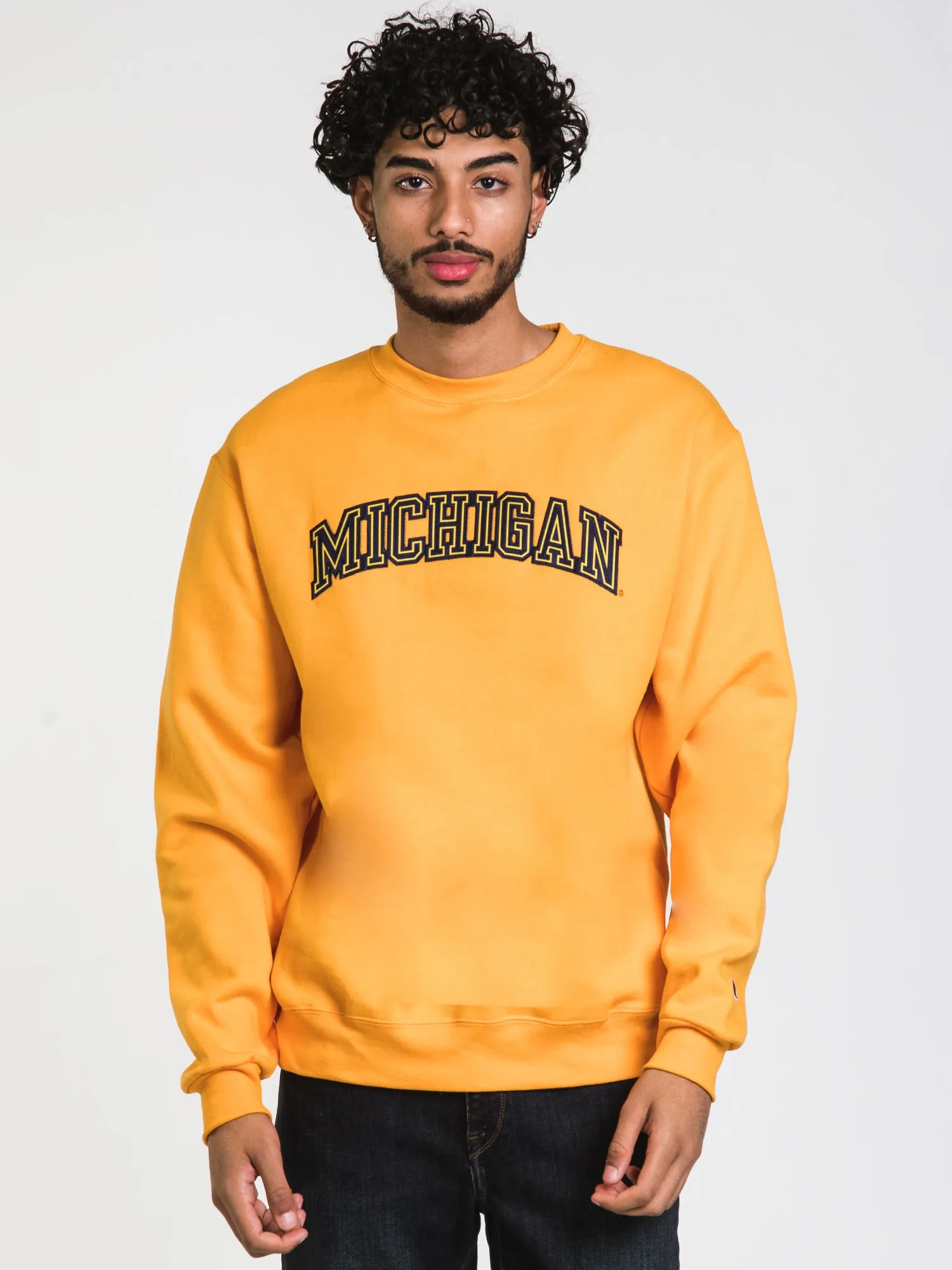 CHAMPION ECO POWERBLEND MICHIGAN CREWNECK SWEATER - CLEARANCE sold by Boathouse product image thumbnail 4